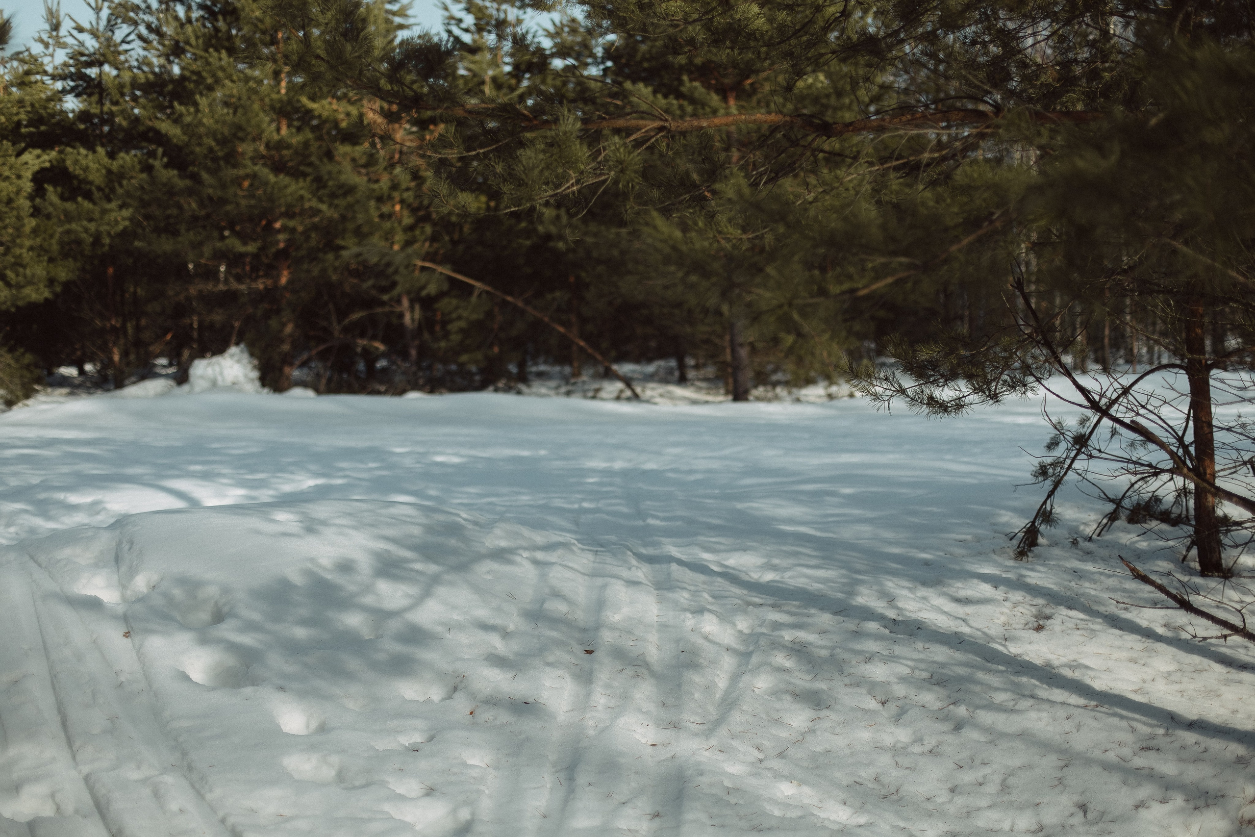 Экопарк ПОЛЯНЫ. Главная