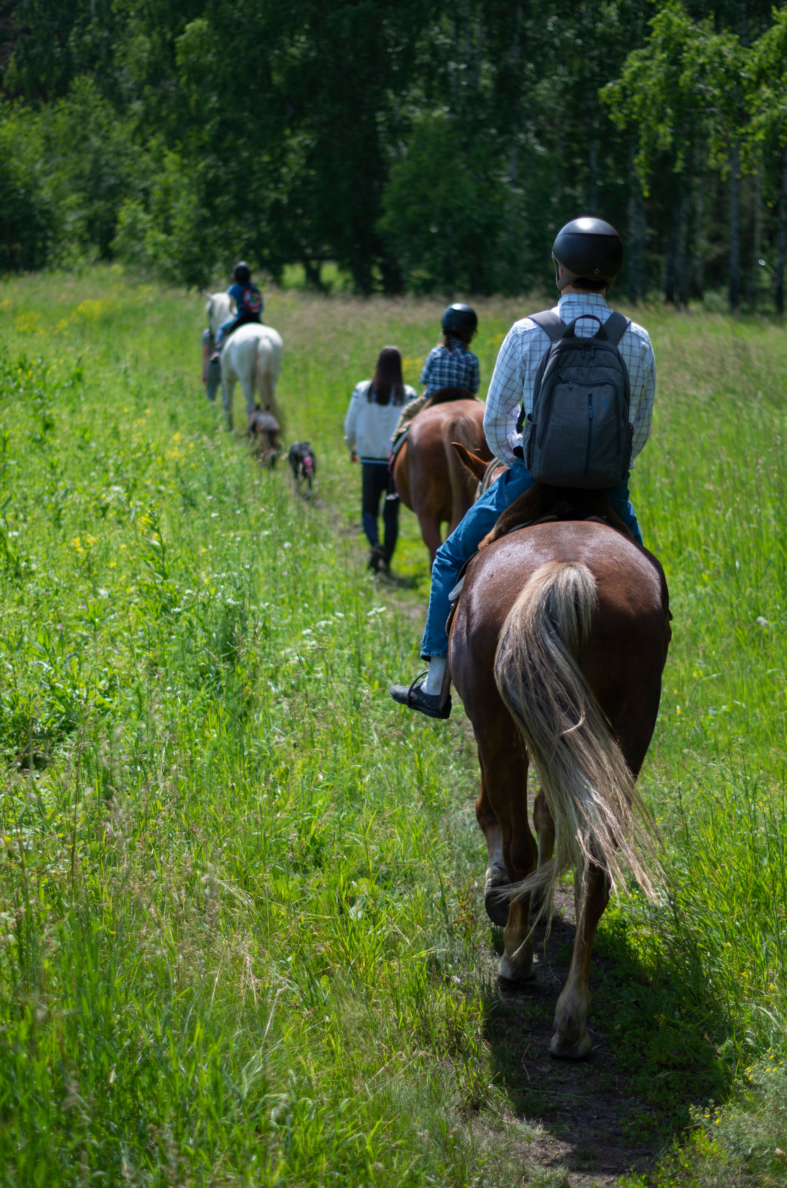 Съёмка с лошадьми: разное. Фотограф Марина Доглядная Челябинск фотосессии с лошадьми, мотоциклами