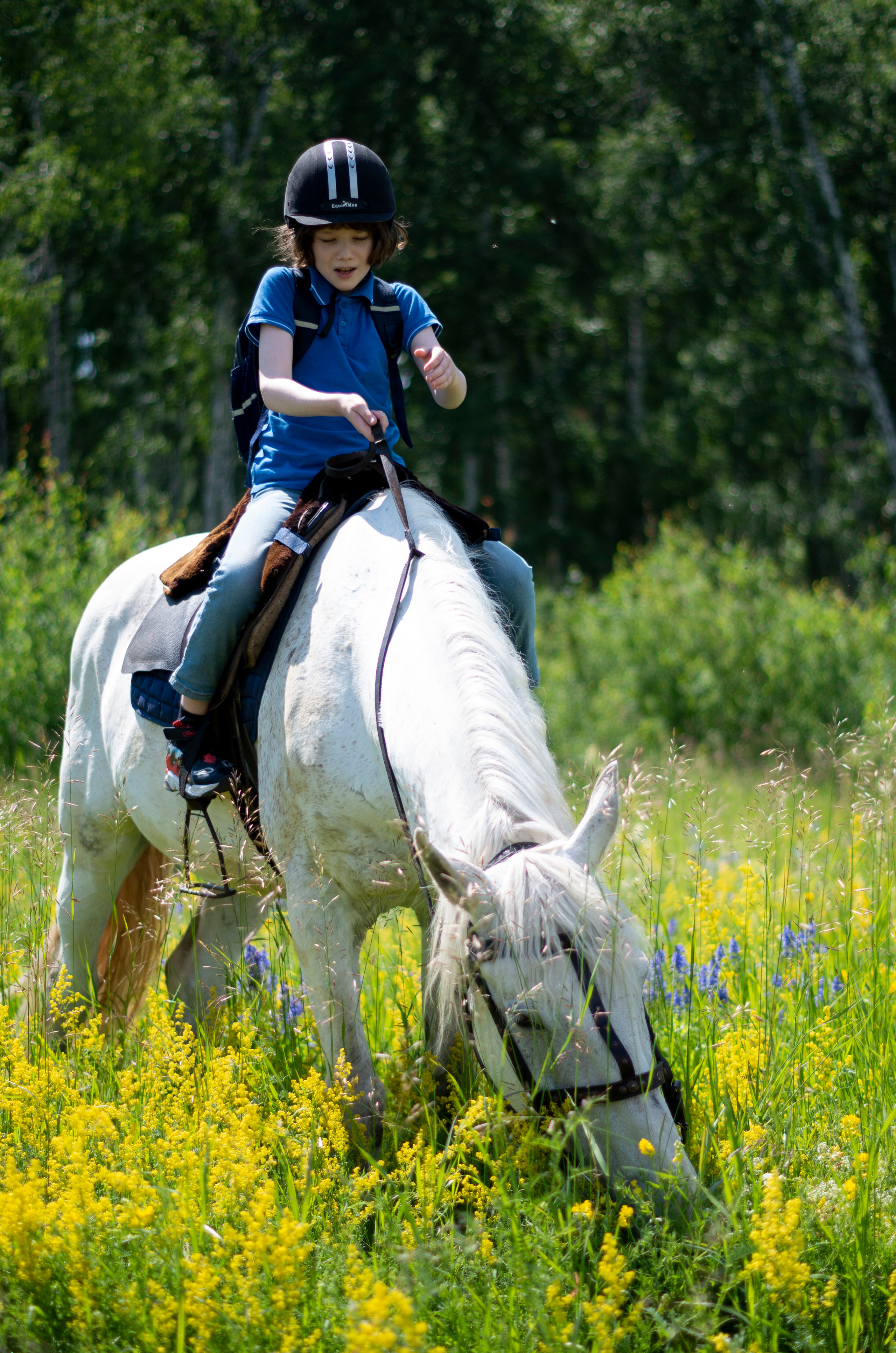 Съёмка с лошадьми: разное. Фотограф Марина Доглядная Челябинск фотосессии с лошадьми, мотоциклами