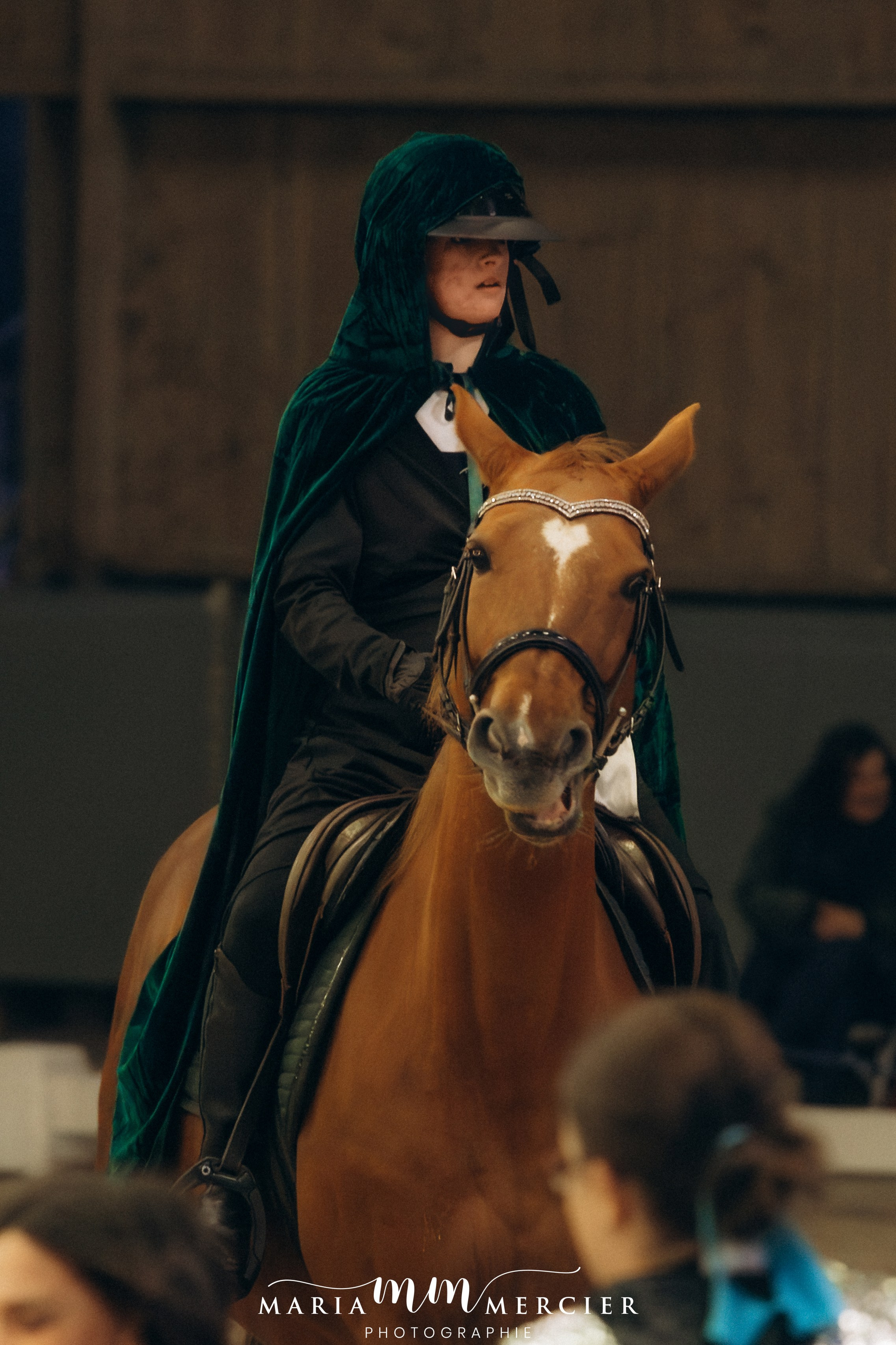 Evènements. Photographe des familles et enfants à Nantes et alentours