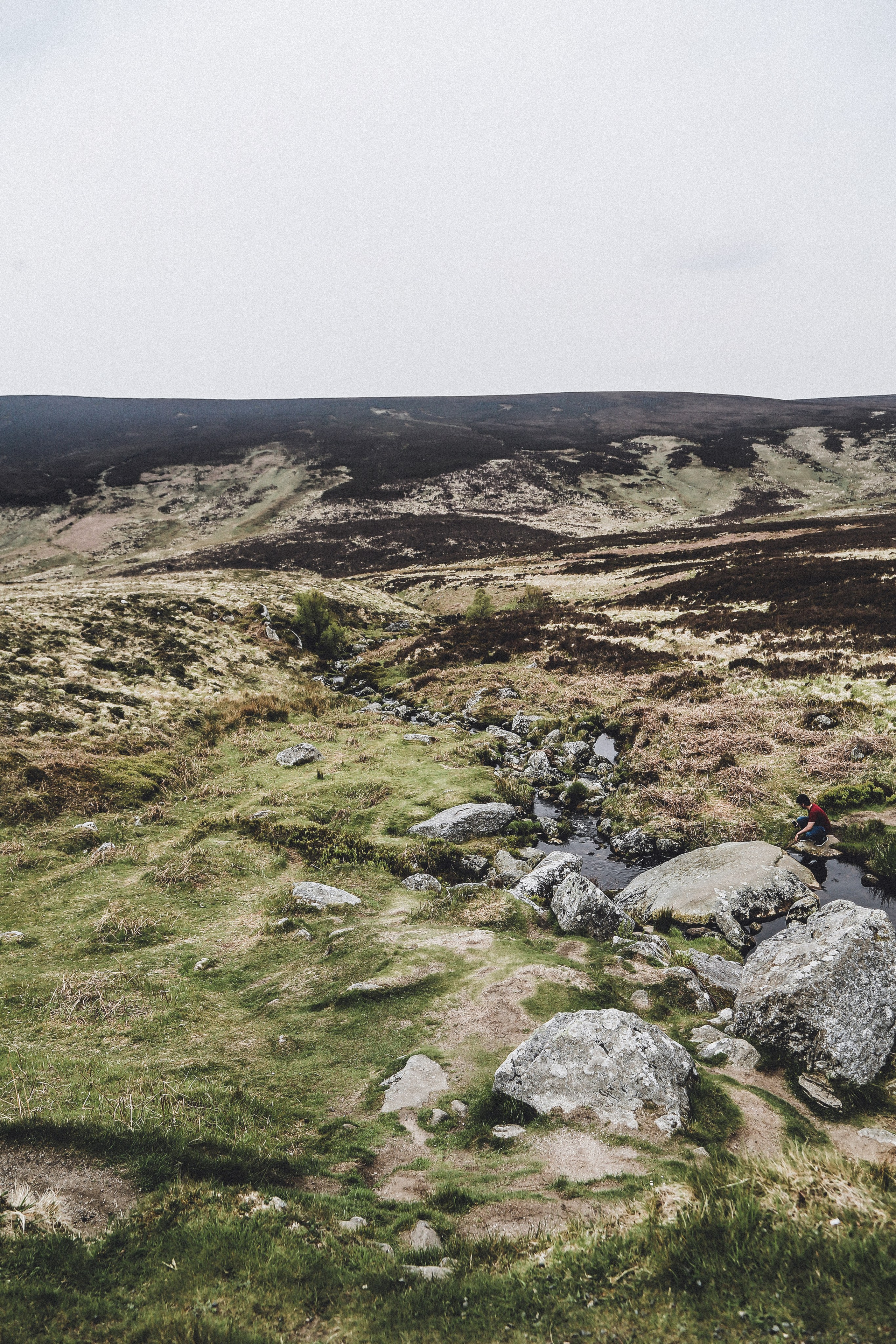 Ирландия: Горы Уиклоу. Дарья Письменюк / Darya Leitstern — фотограф, музыкант, журналист, путешественник