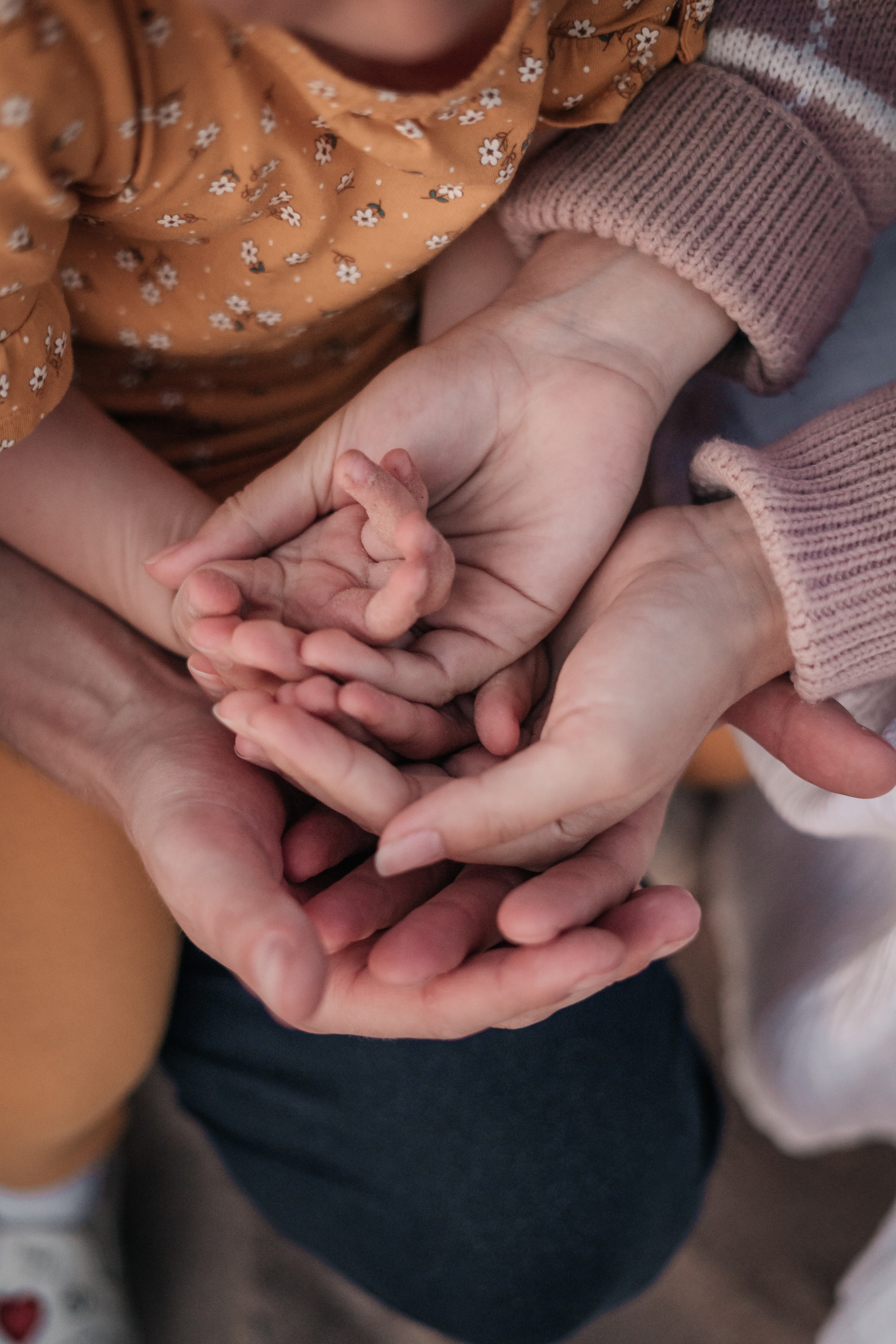 Семья Орловых. Июль 2024. Главная