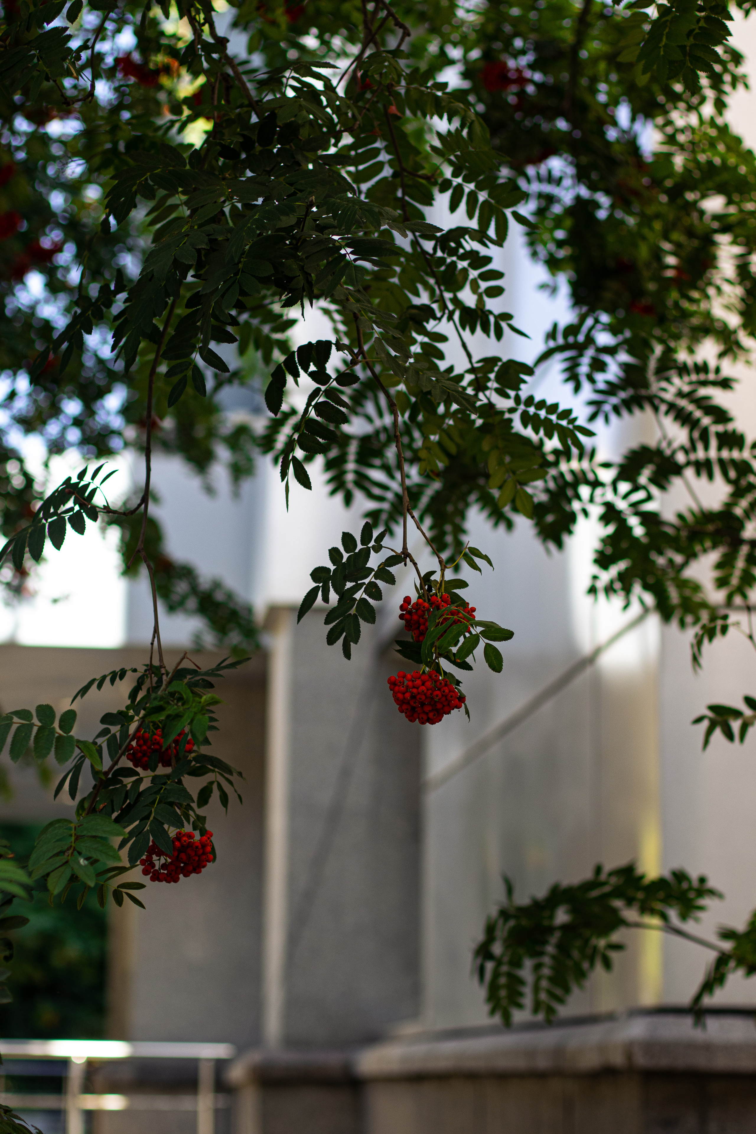 Стрит-фотография, она же — уличная фотография. Денис Климачев. Фотограф. Город Новосибирск