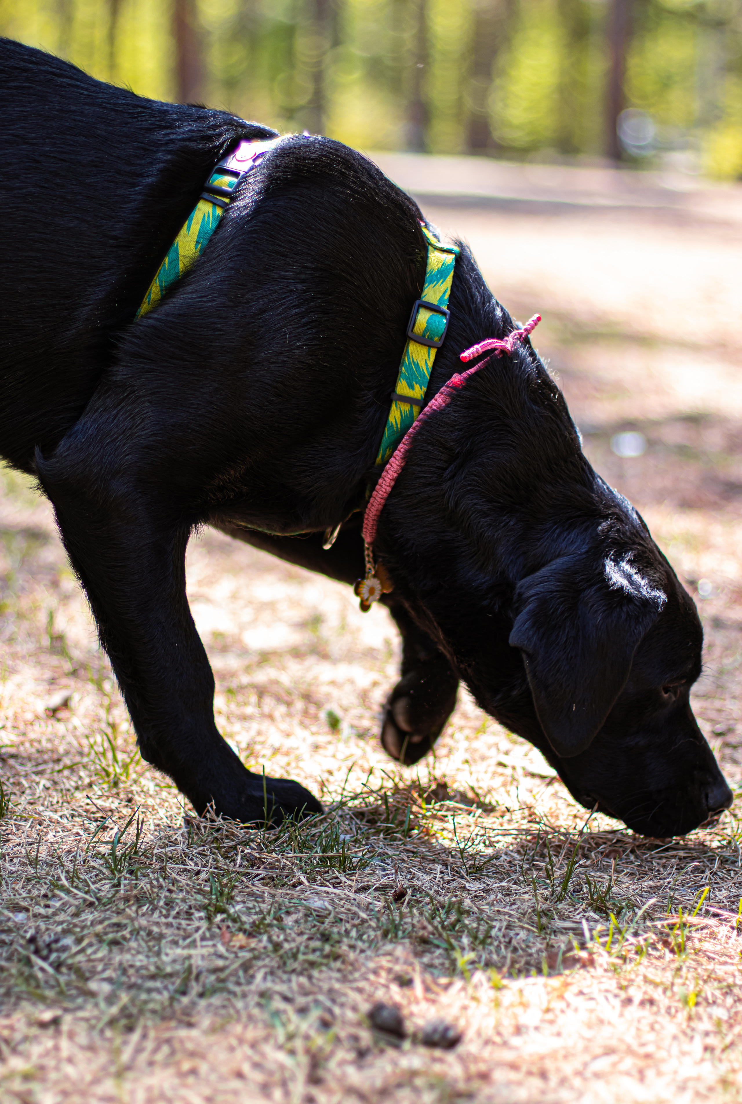 Услуги. Денис Климачев. Фотограф. Город Новосибирск