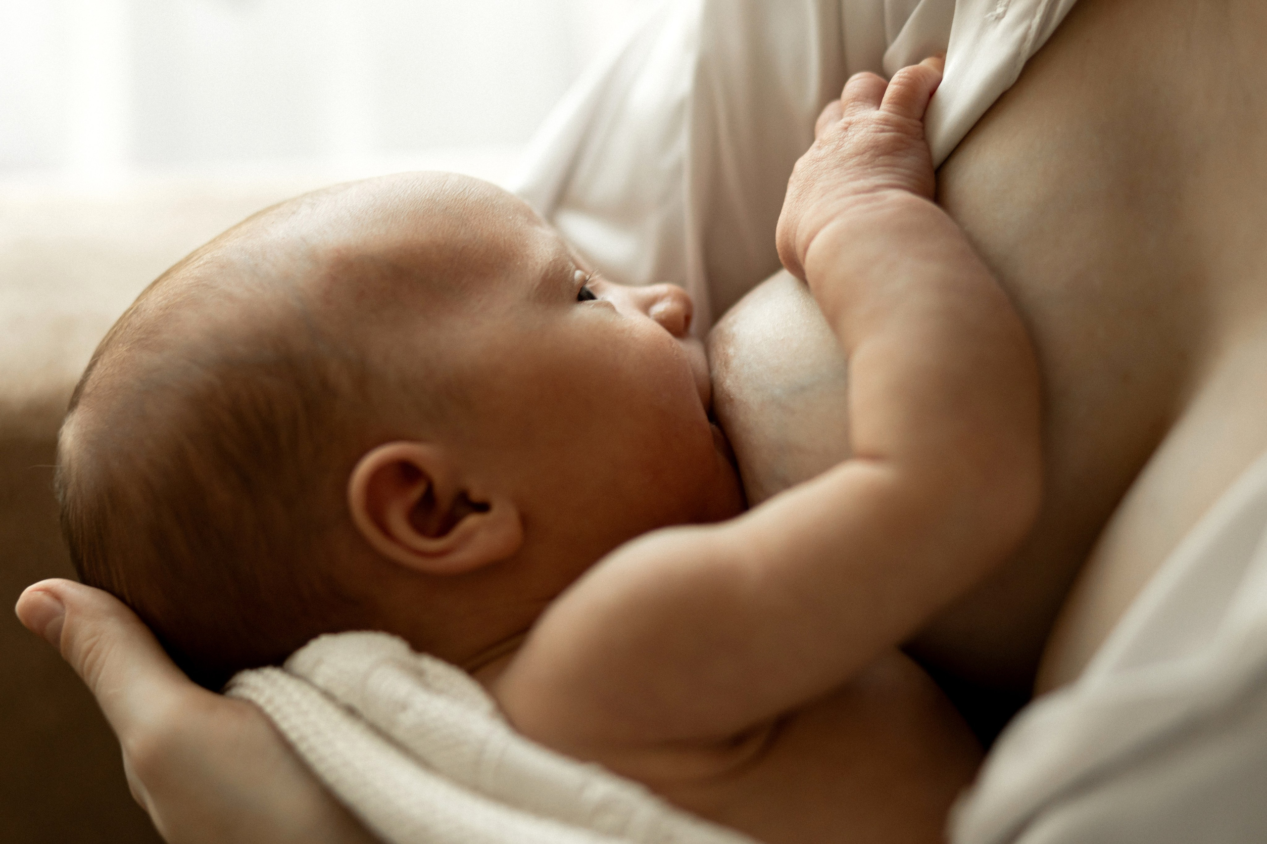 Домашние съемки. Детский и семейный фотограф во Владивостоке Светлана Шаповаленко