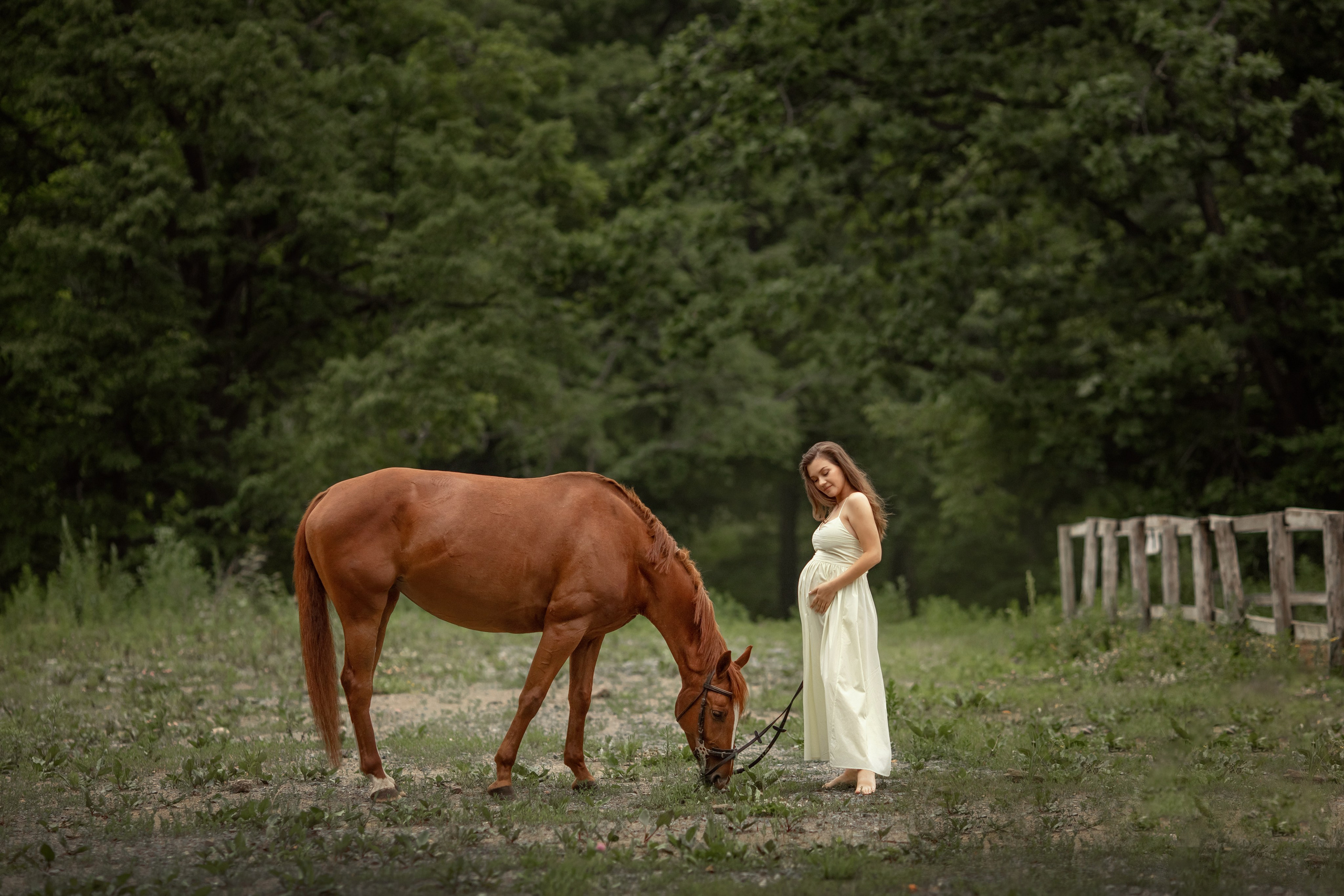 Индивидуальная съемка. Детский и семейный фотограф во Владивостоке Светлана Шаповаленко