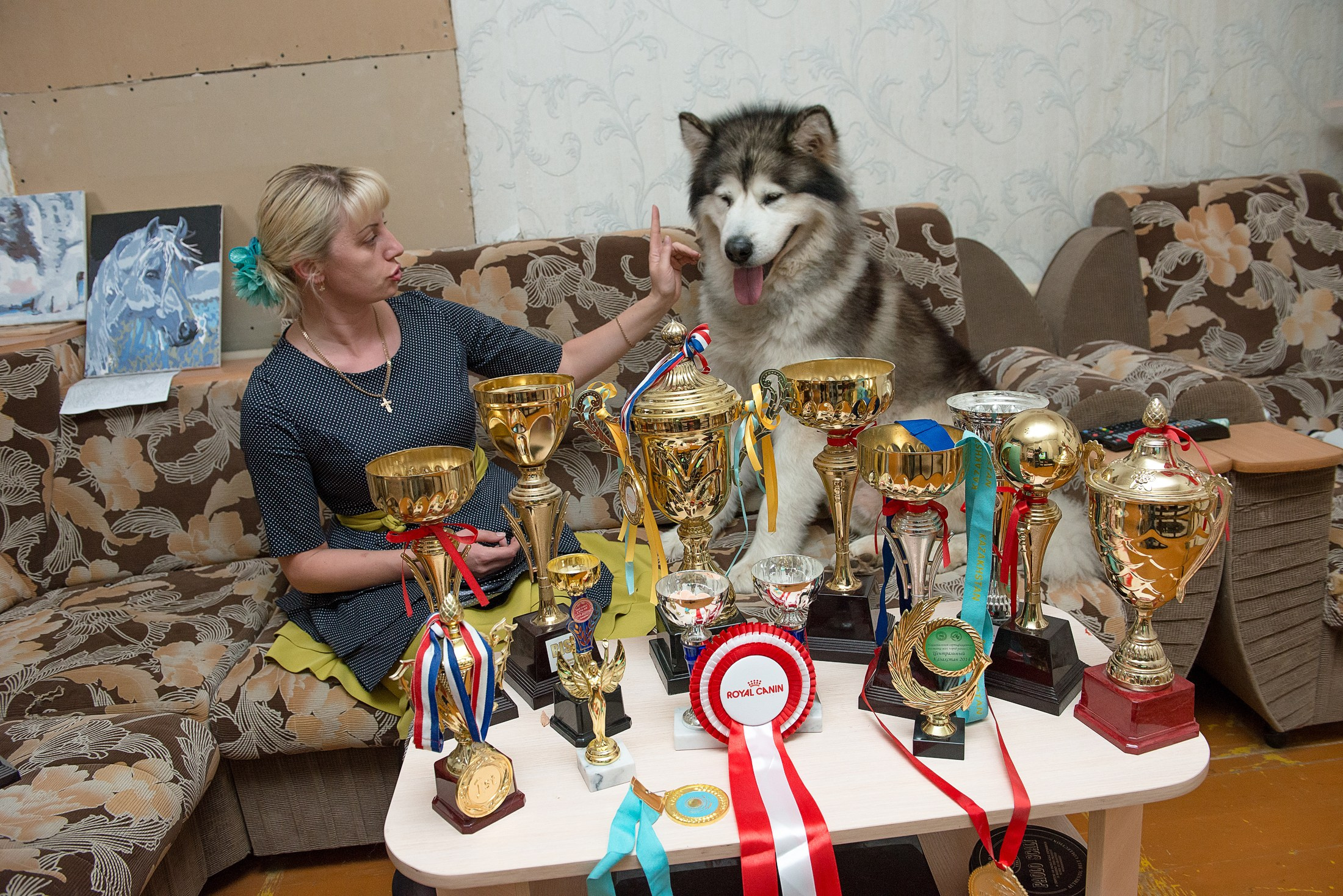 Для СМИ. Фотограф в Калининграде Сулейманов Амирхан