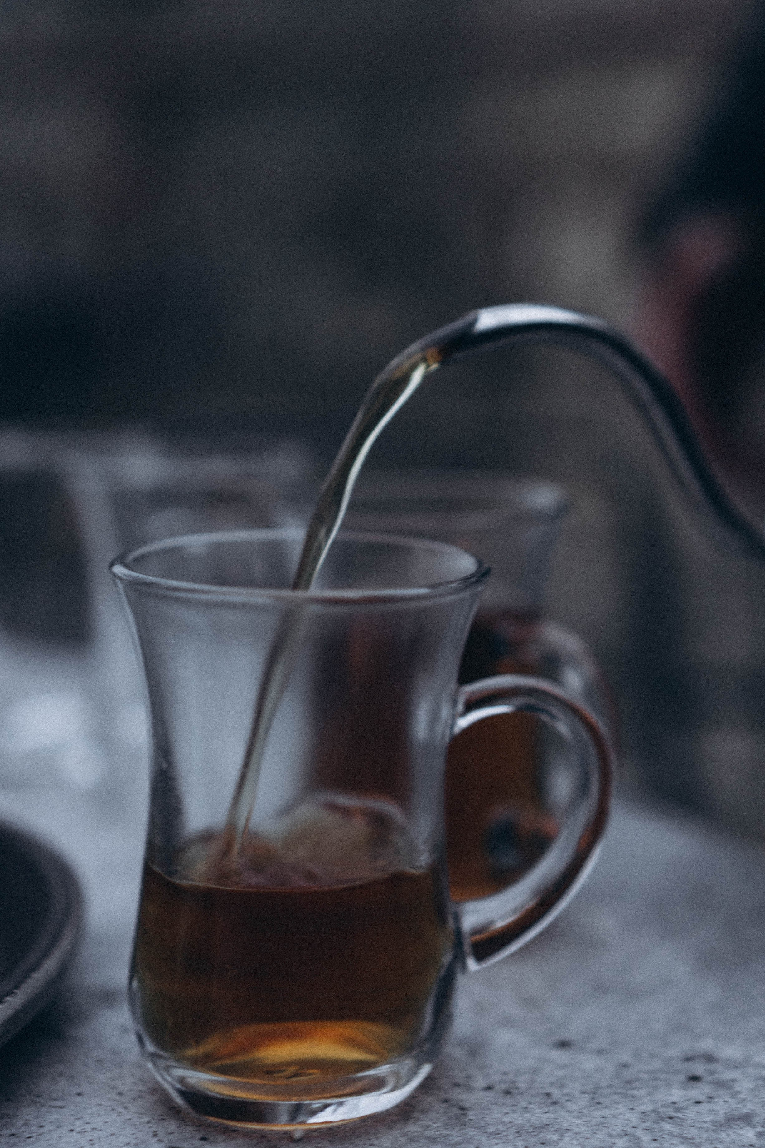 Кавказ. Профессиональный фотограф, Санкт-Петербург — Виктория Богомолова