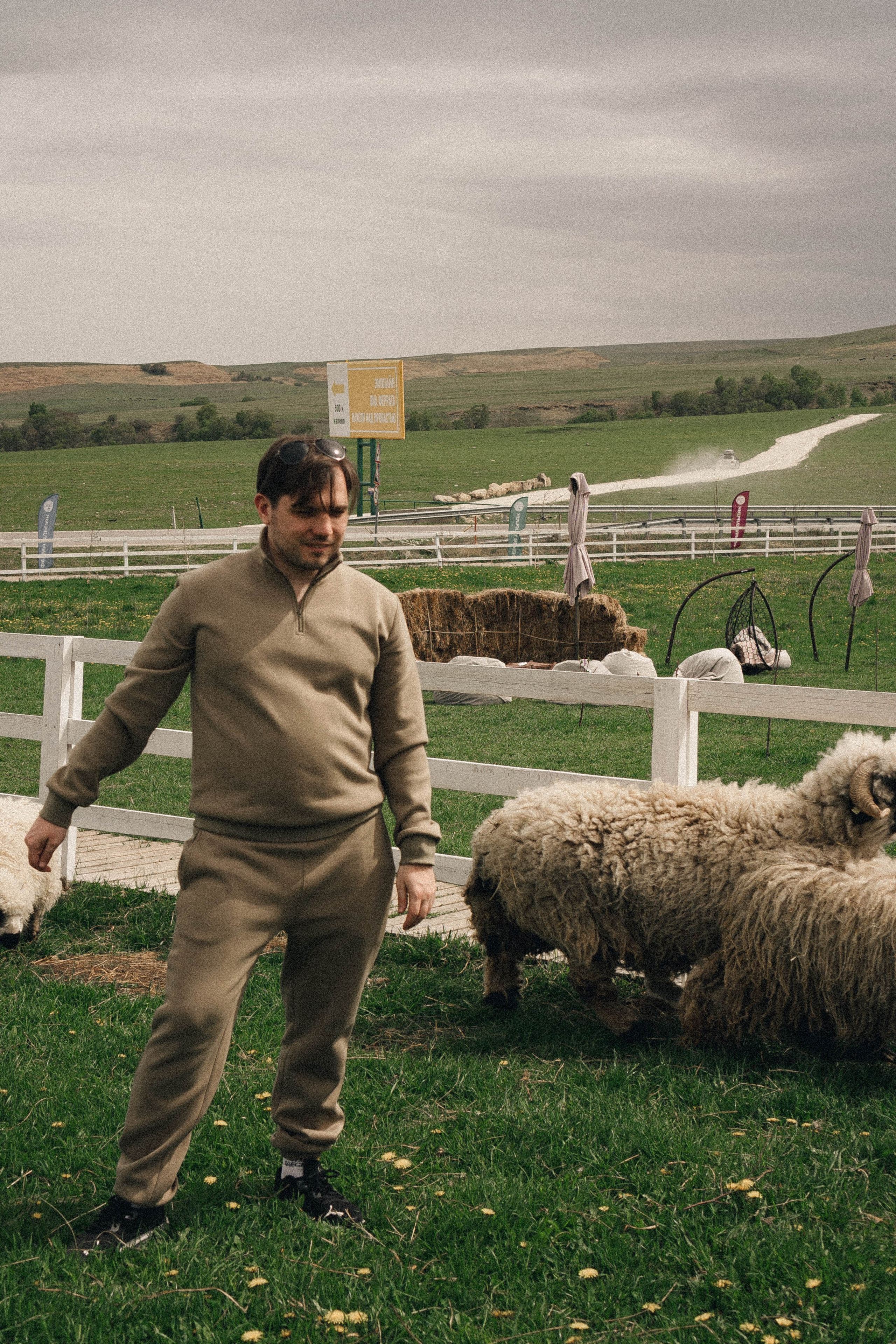 Ферма Альпак. Профессиональный фотограф, Санкт-Петербург — Виктория Богомолова