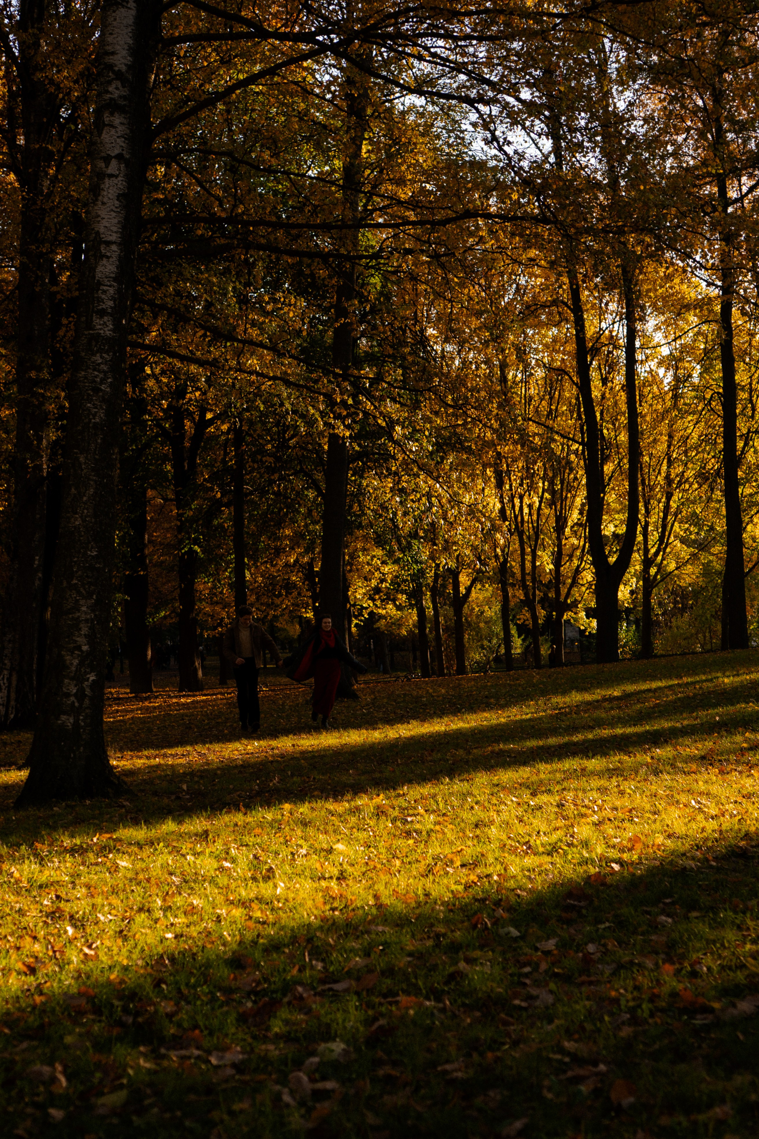 ОСЕННЯЯ ПРОГУЛКА. Профессиональный фотограф, Санкт-Петербург — Виктория Богомолова