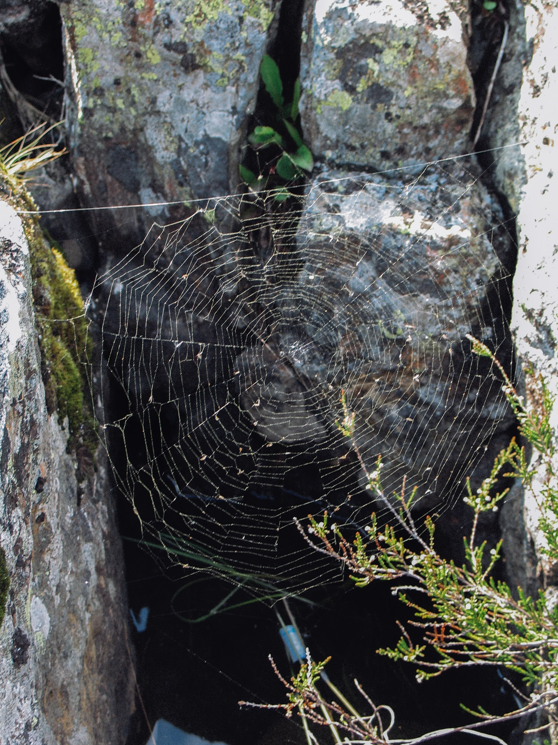 Ладожские шхеры | 2025