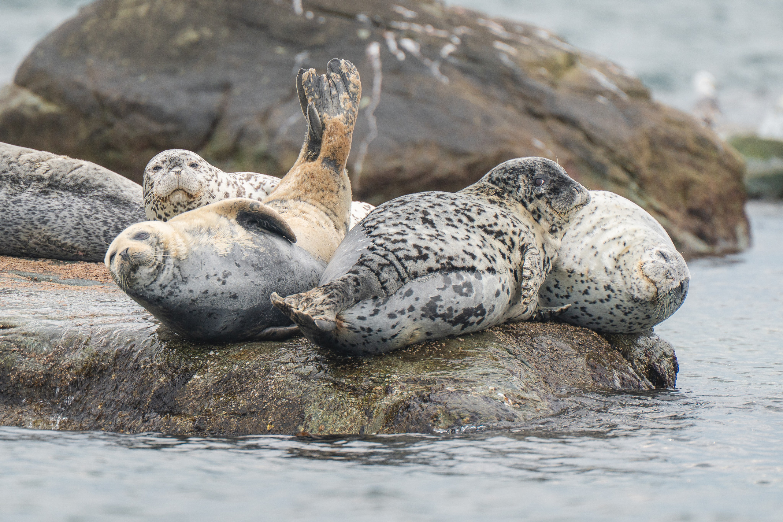 Приморье. Daria wanderer photography