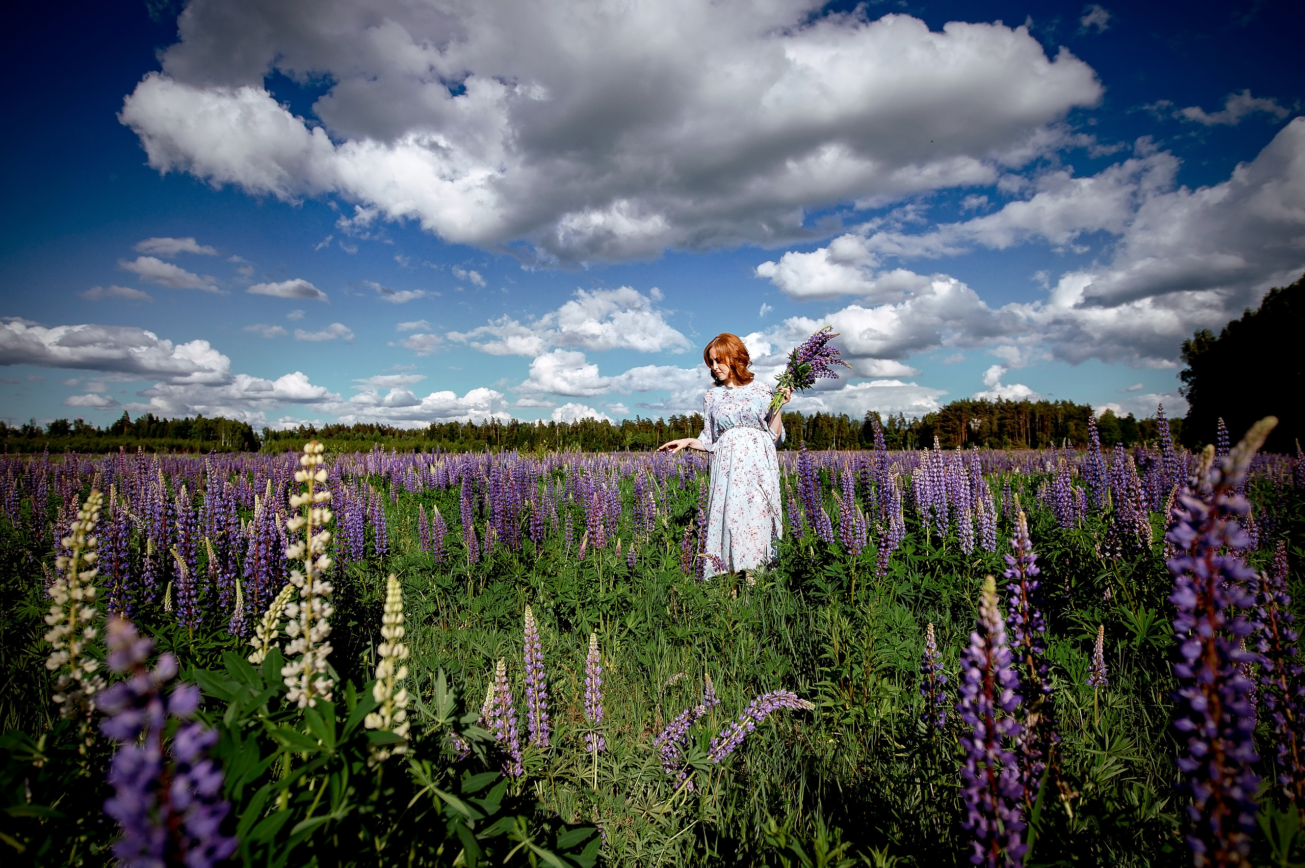 Фотосессия "В ожидании" на природе в Щелково. Цветение люпинов. Свадебный и семейный фотограф Виктория Носачёва. Щелково, Москва и МО