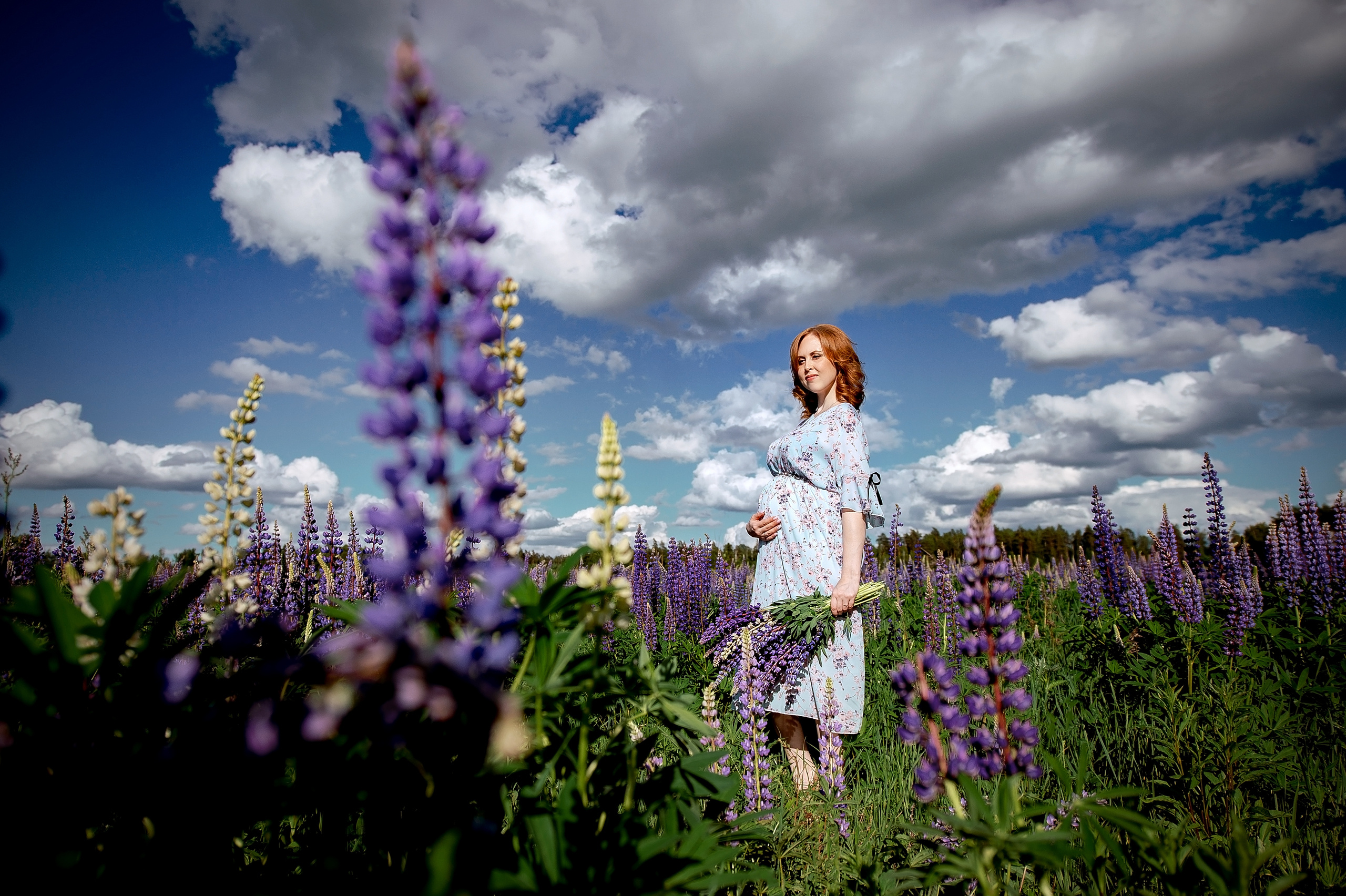 фотосессия в люпинах