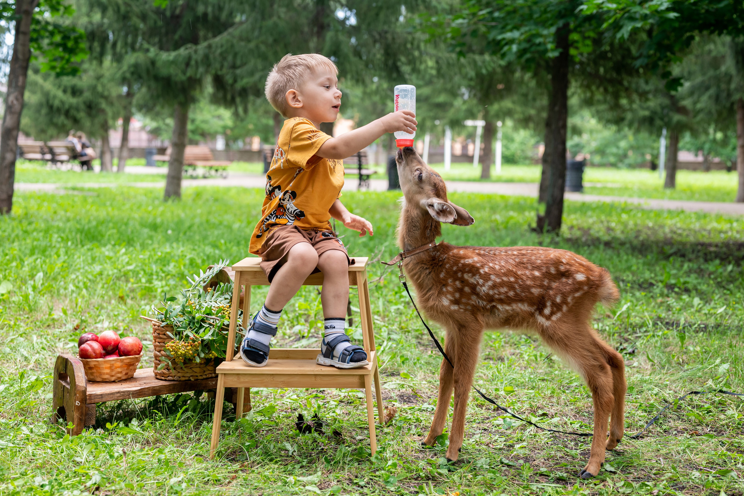 Фотопроект *Оленёнок Бэмби*. Фотограф в городе Салават