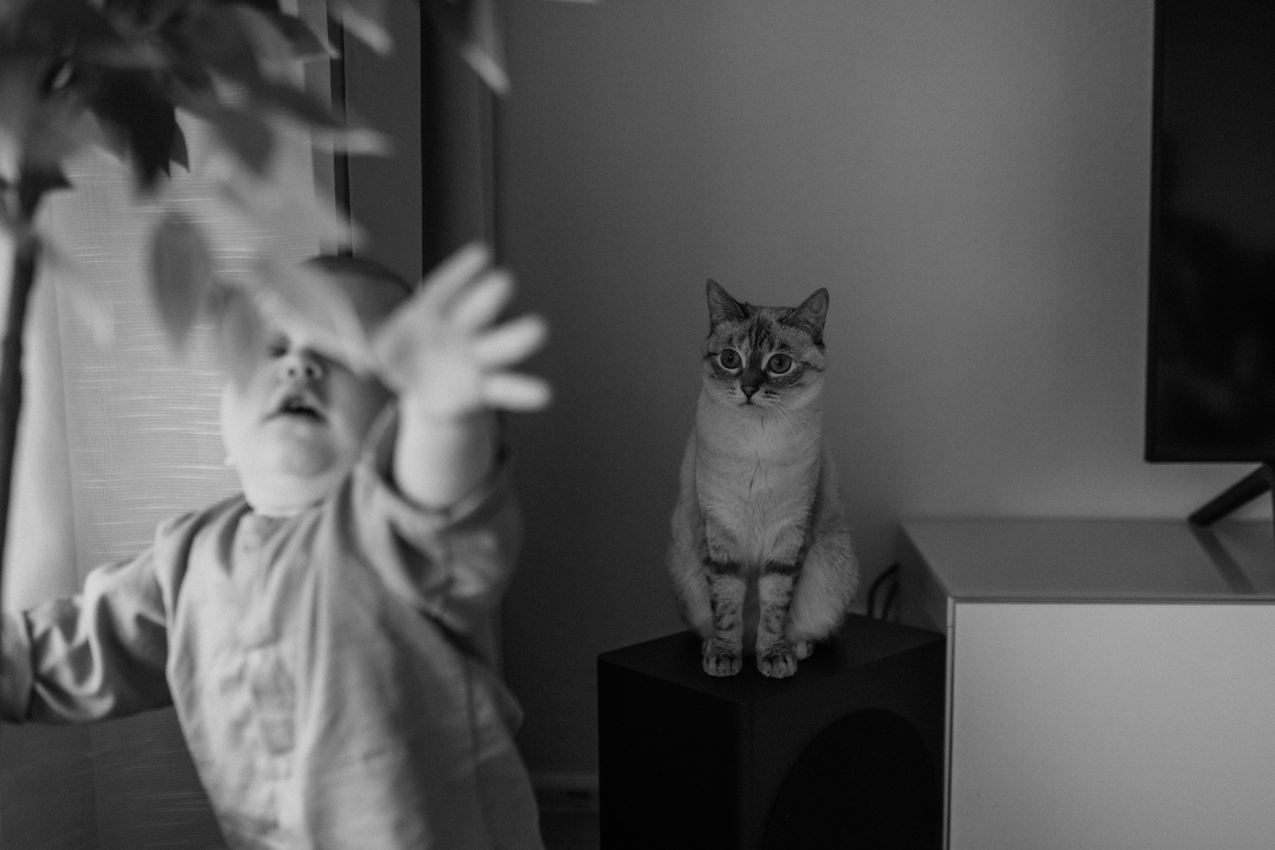Костя. Семейный фотограф Москва