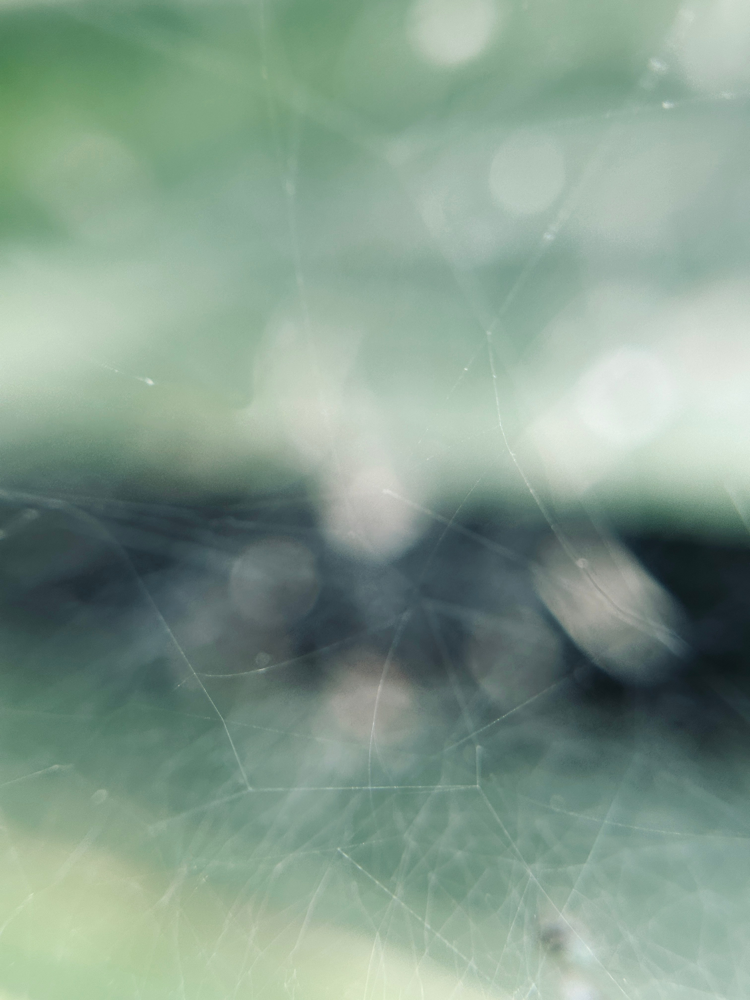 Флора и фауна. Смотри, красота!