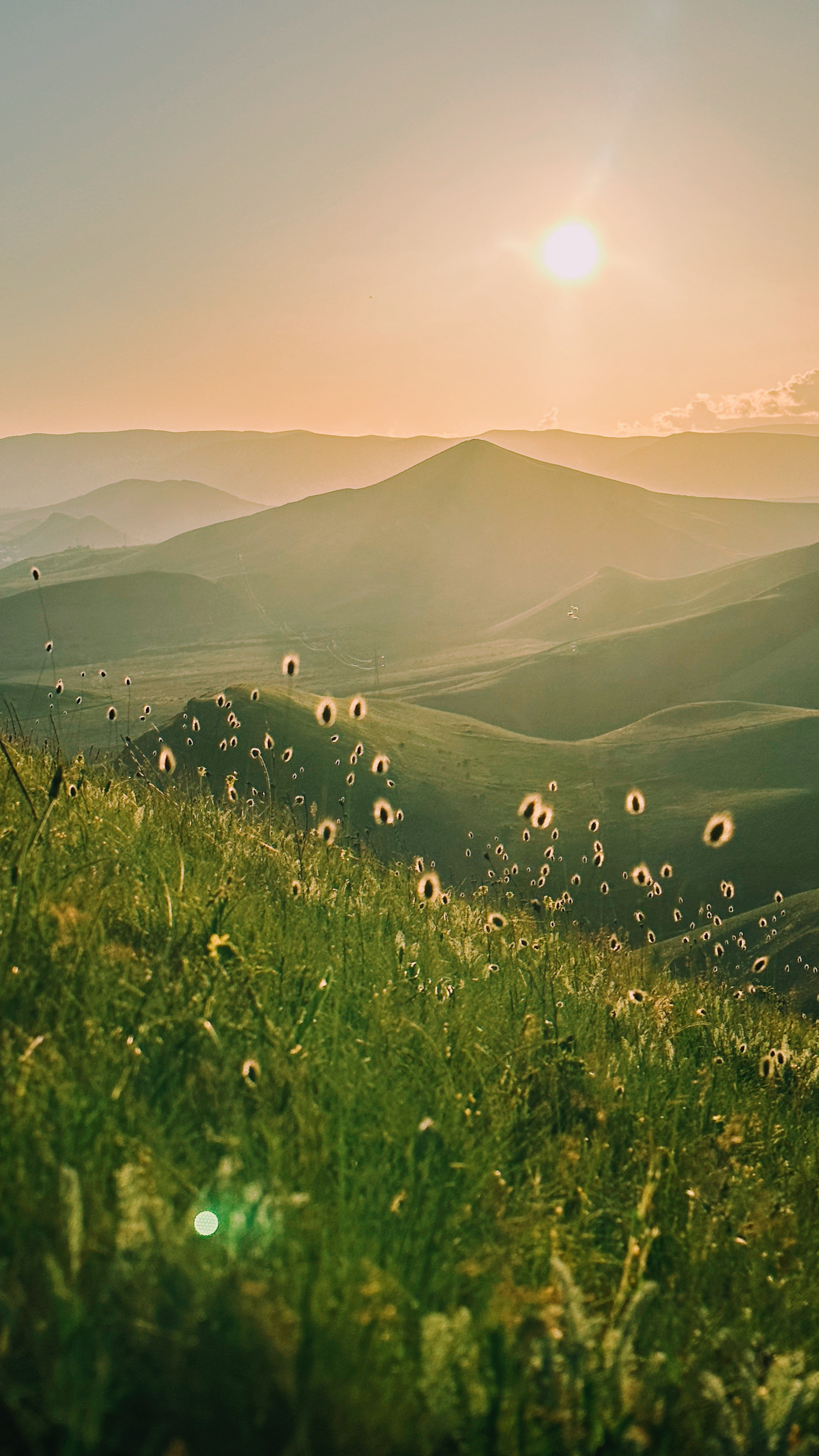 Хочу в Коктебель. Гид и фотограф в Крыму Сергей Соколов