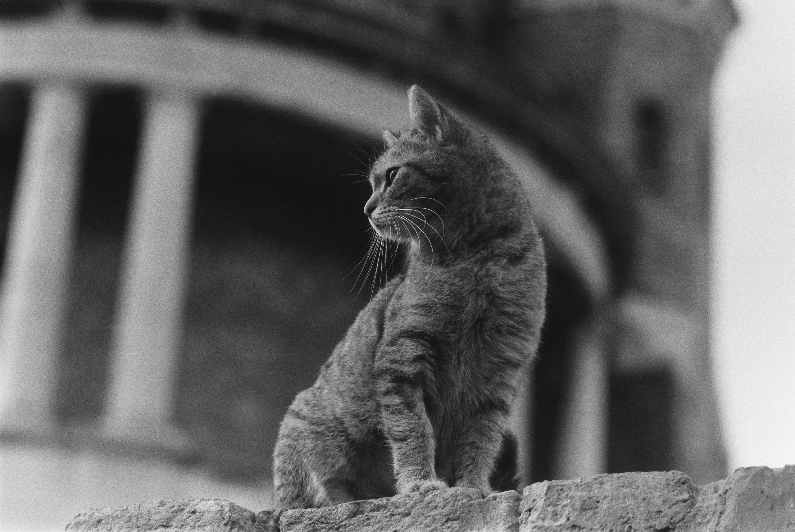 Плёнки. Кира Кечекьян — фотограф в Москве