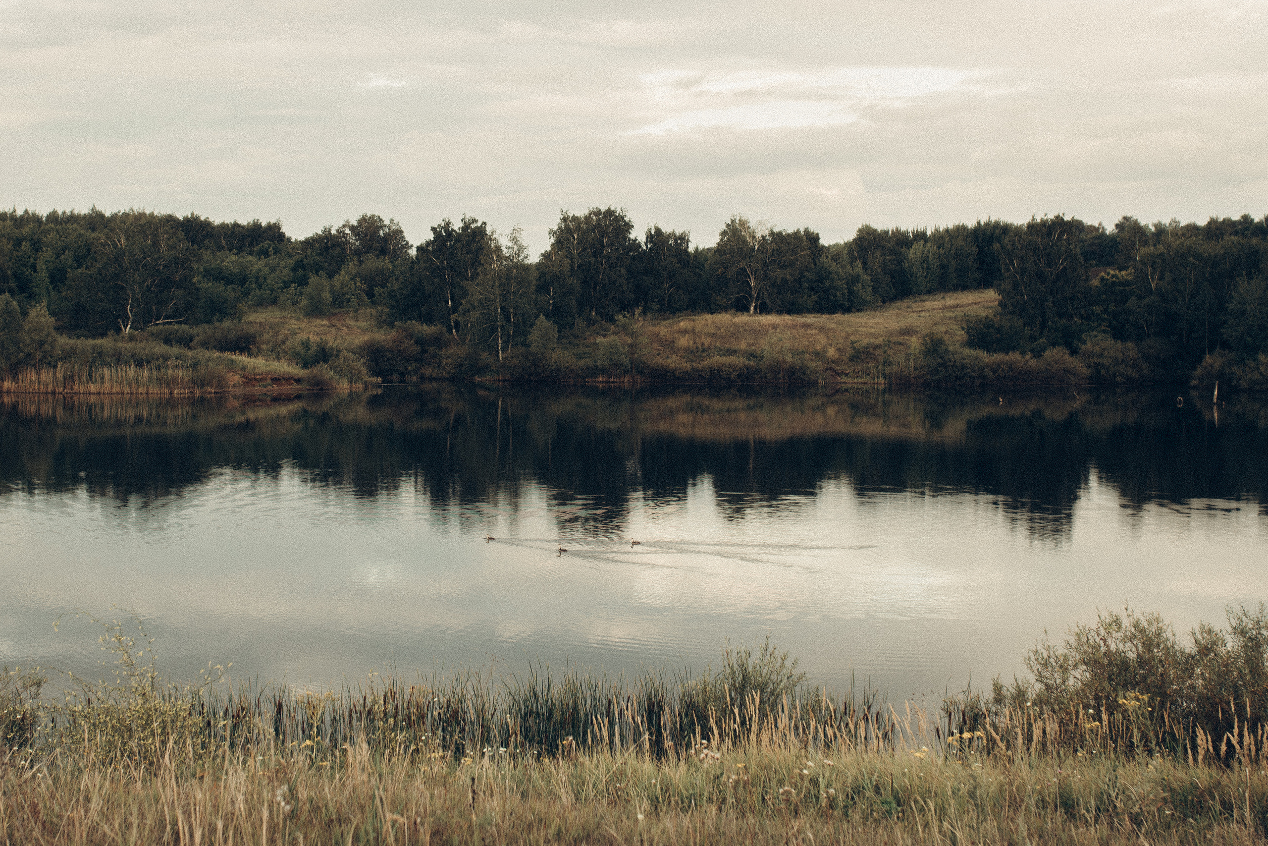 Ира. Фотограф Полина Безрядина