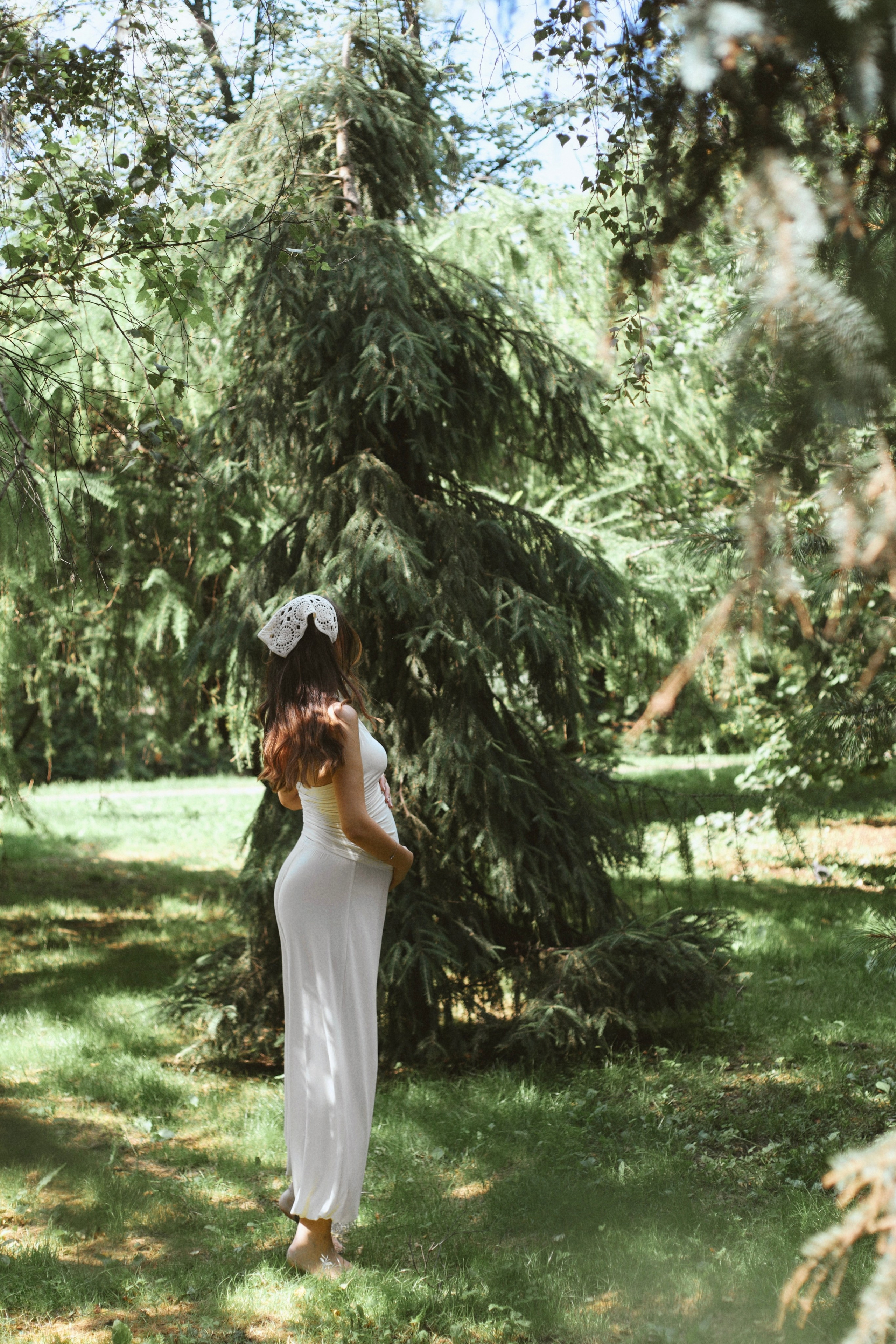 S&E. Ph.emmi
