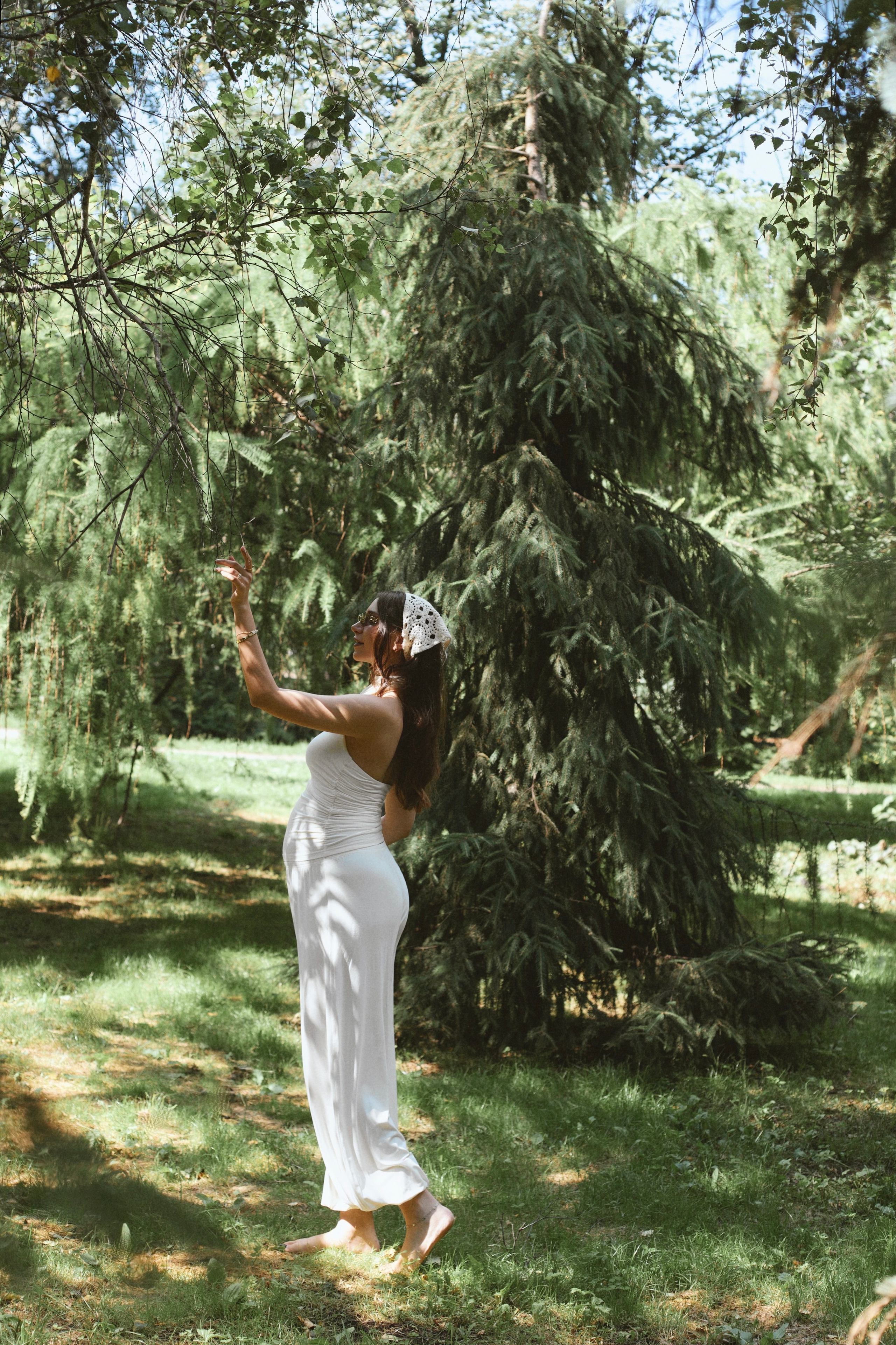 S&E. Ph.emmi