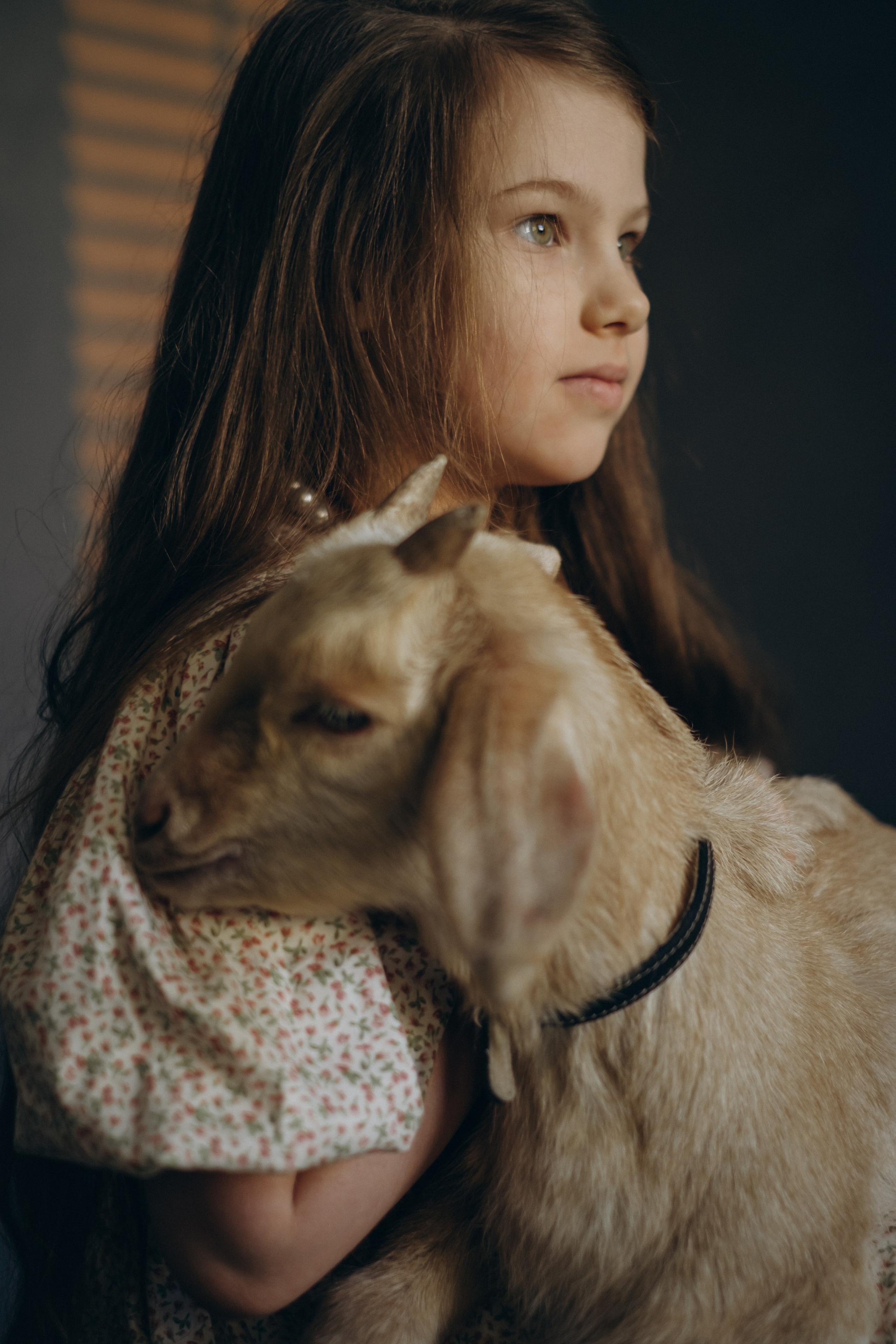 Семейный фотодень. Фотограф Новосибирск Анна Рождественская