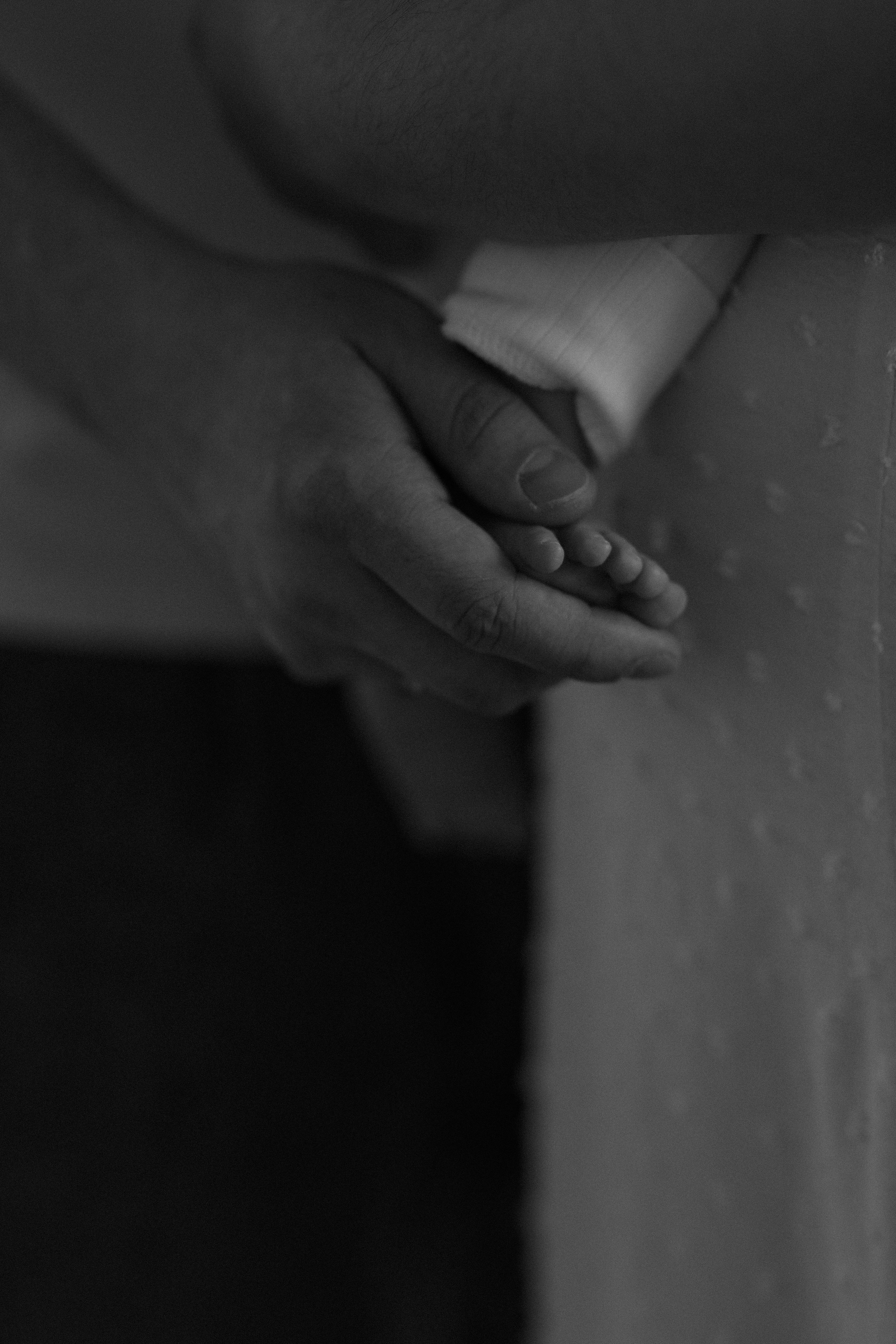 Даша Миша и Тая. Лена Колягина Фотограф по любви