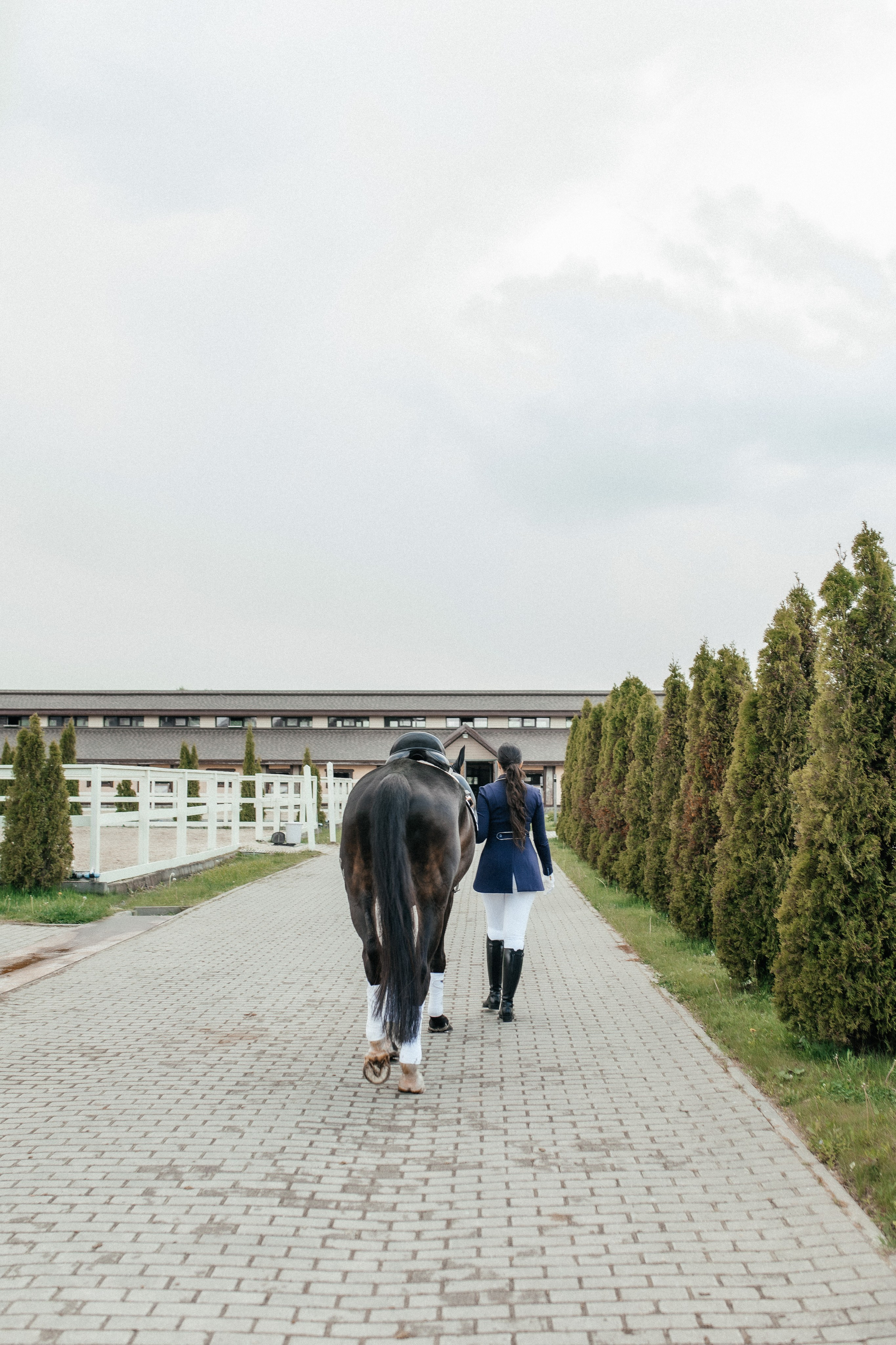 Конная прогулка. Тома и Кеша. Профессиональный фотограф, Москва |Видное Елена Елизарова