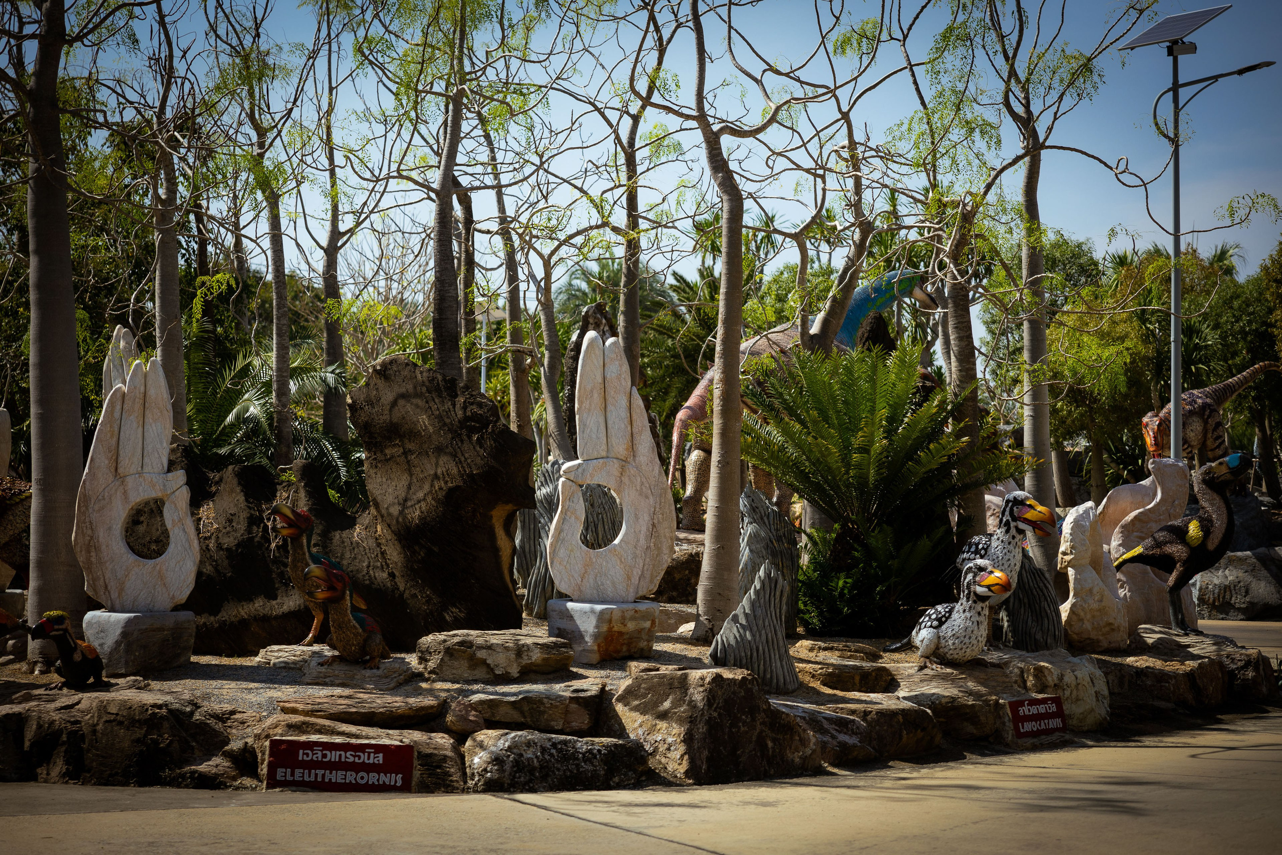 Таиланд (зима 2025). Фотограф Виноградов Константин