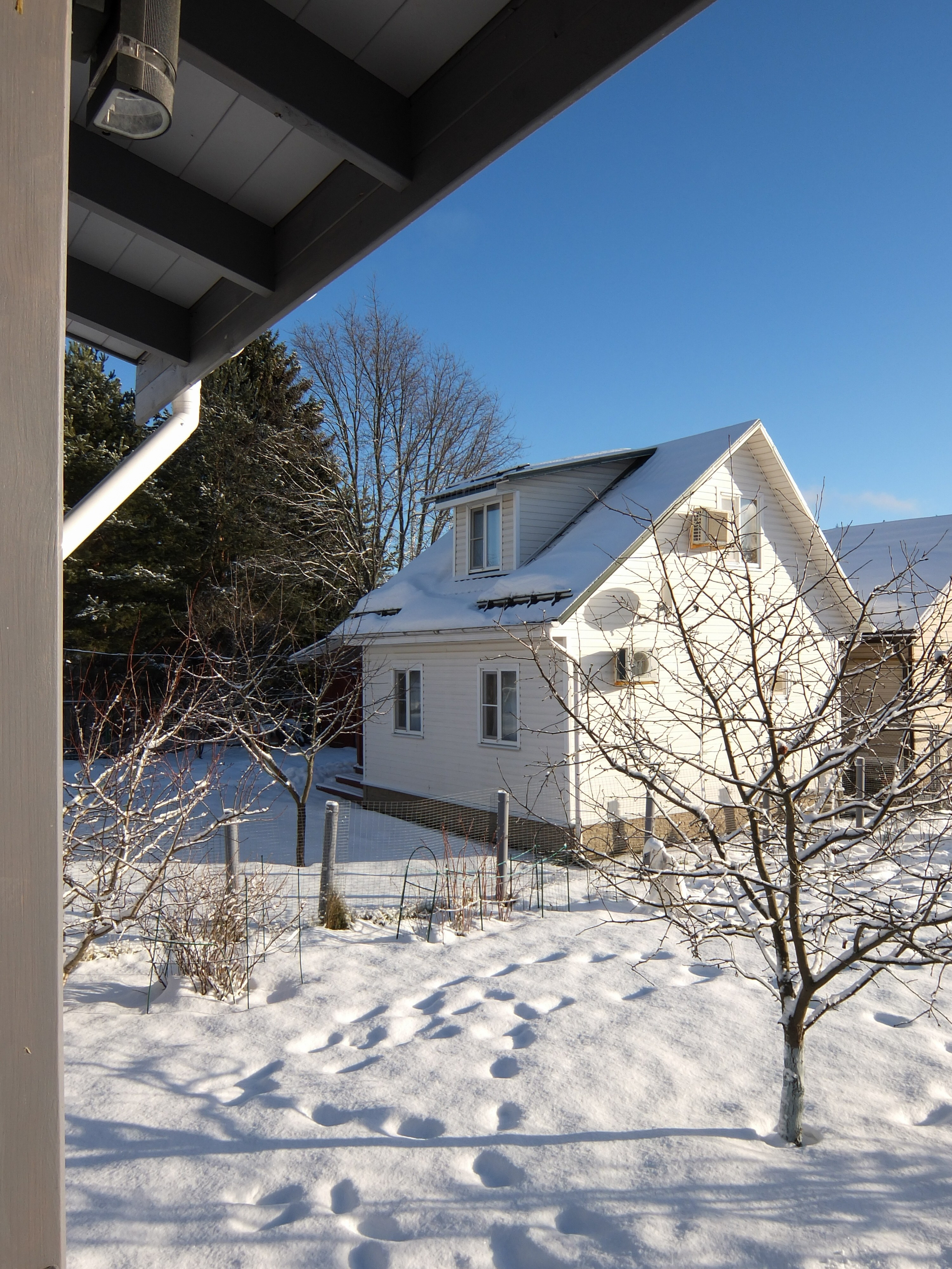 Солнечный день Нового Года. Фотограф-документалист Мария Осокина