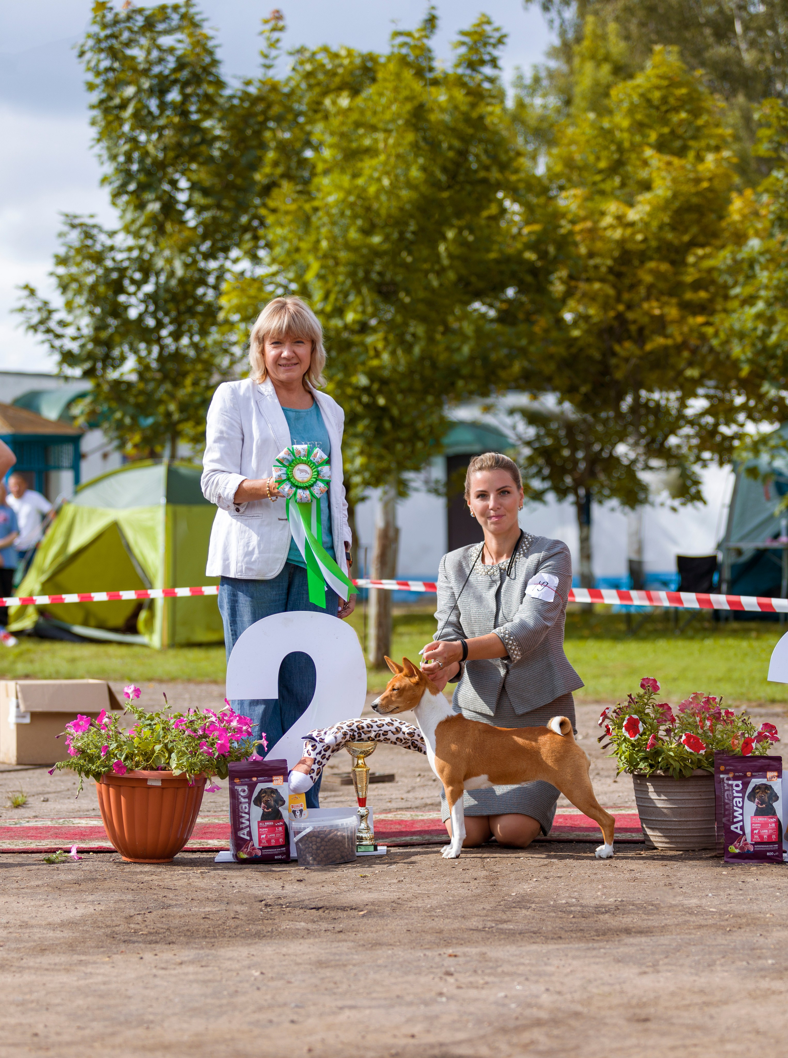 Выставки. Фотограф — анималист Татьяна Ли