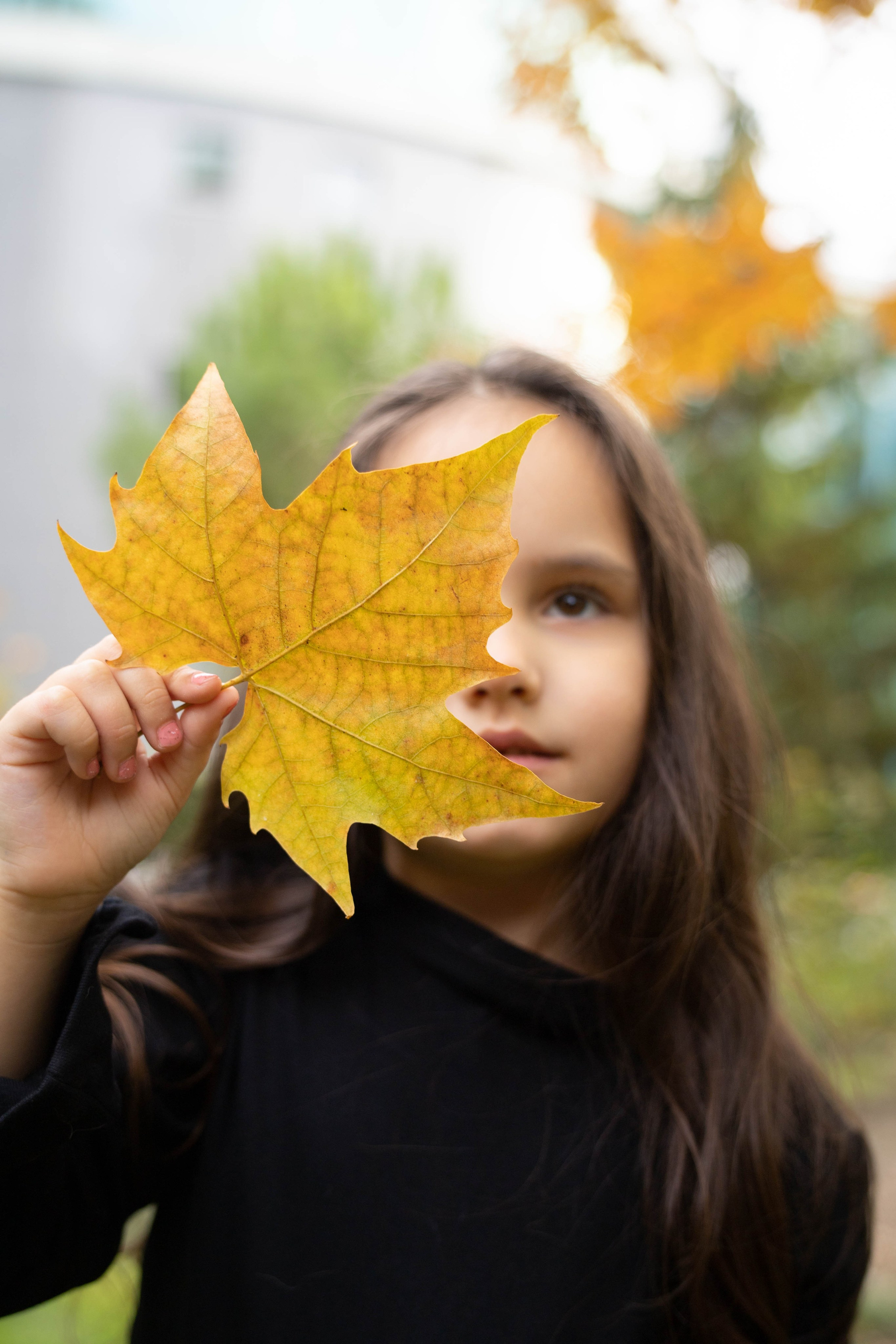 Фотосессия выездная «Осенняя прогулка». Фотограф в Крыму Татьяна Барицкая ЕНОТИКА