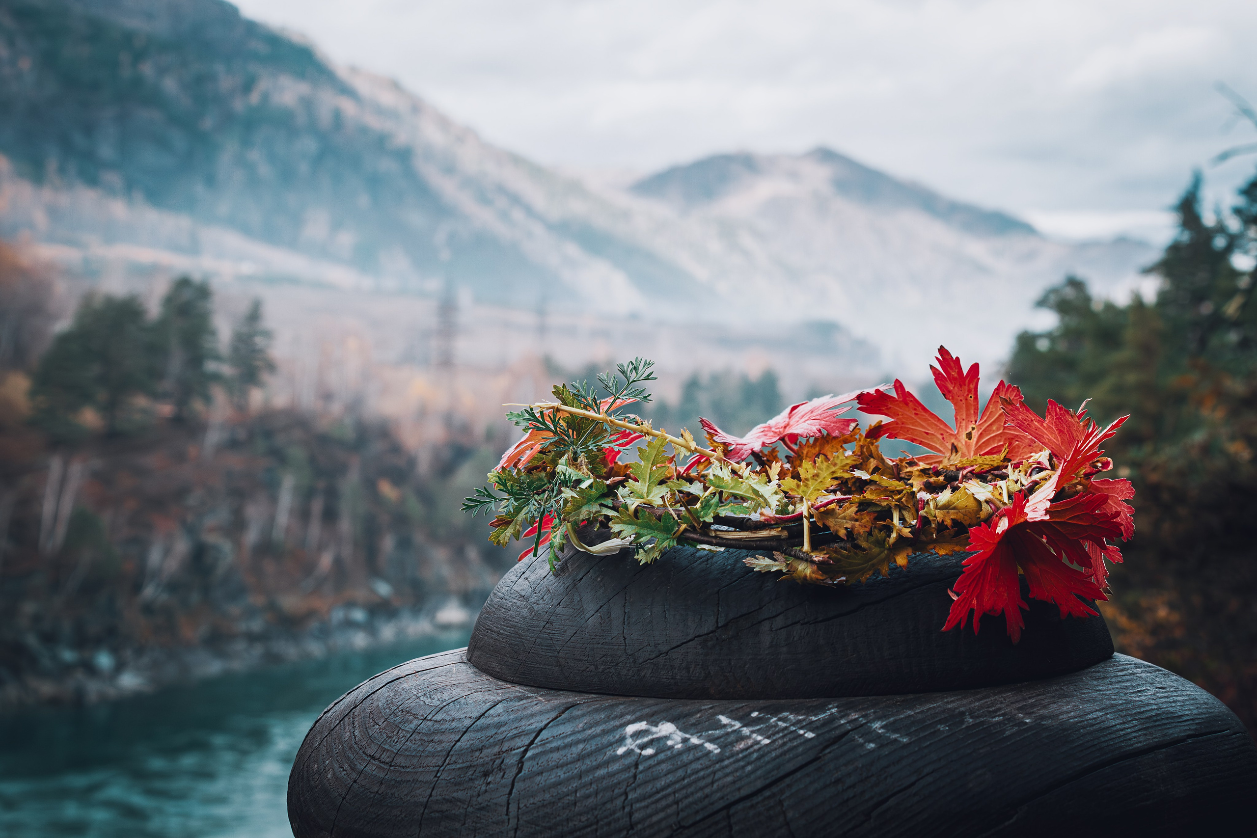 Фотографии Горного Алтая. Фотограф в Новокузнецке