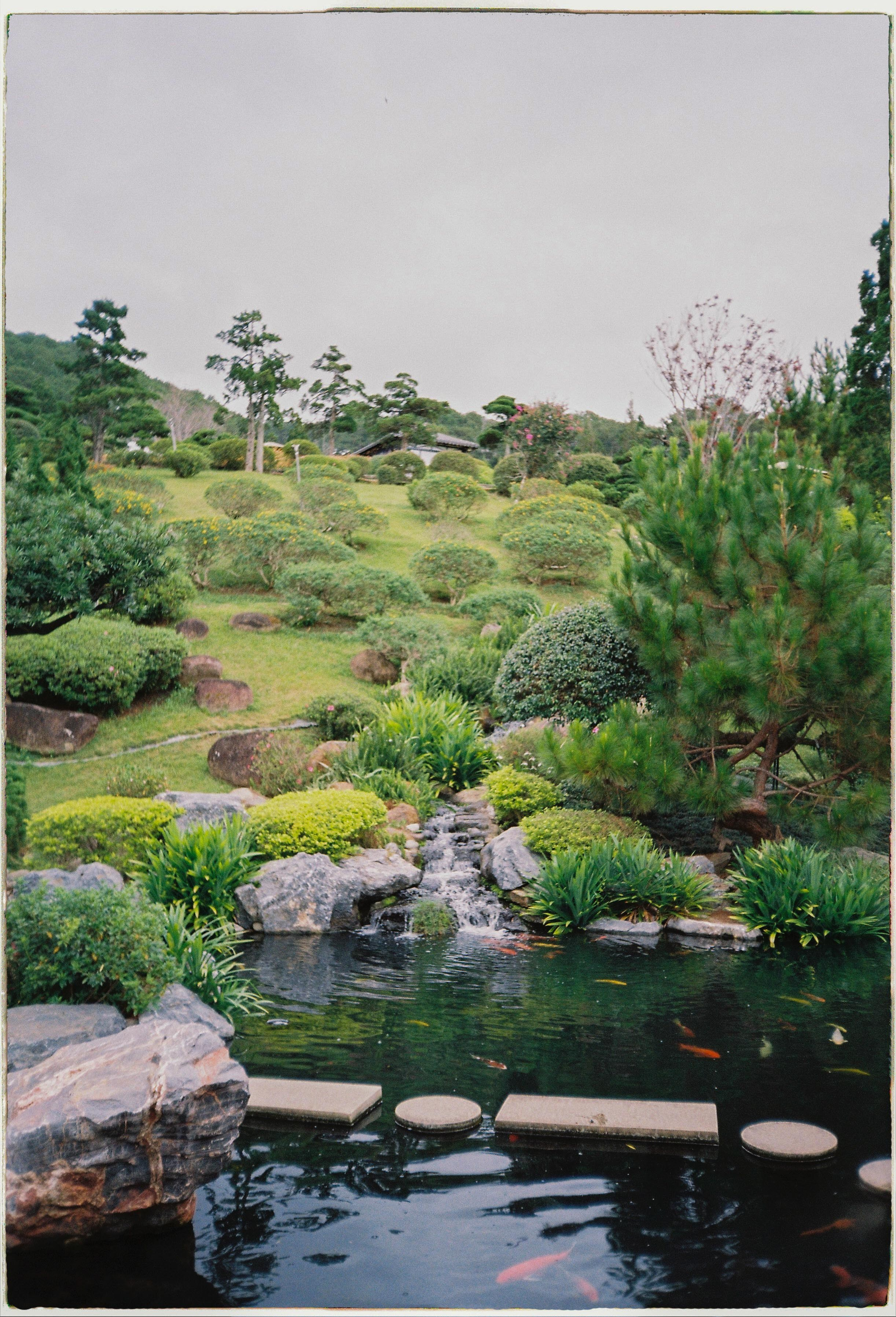 Que garden. Film Photographer in Da Nang, Vietnam — Tanya Parfenteva