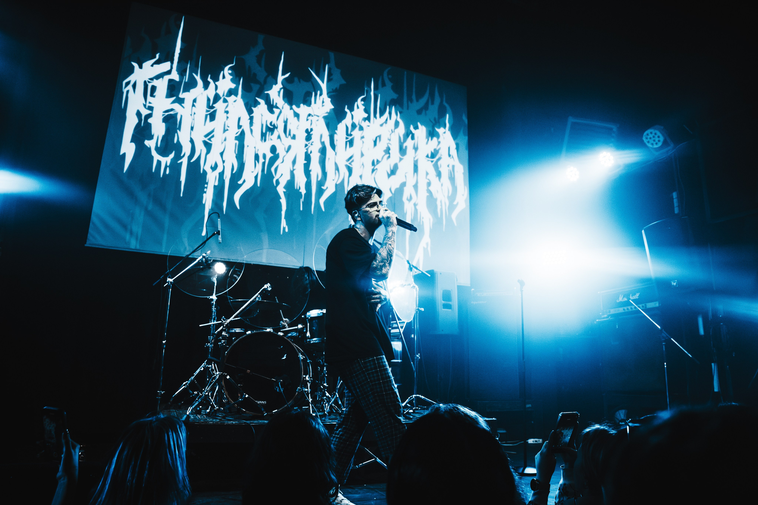 Гнилаялирика | 05.10.25 | Ласточка