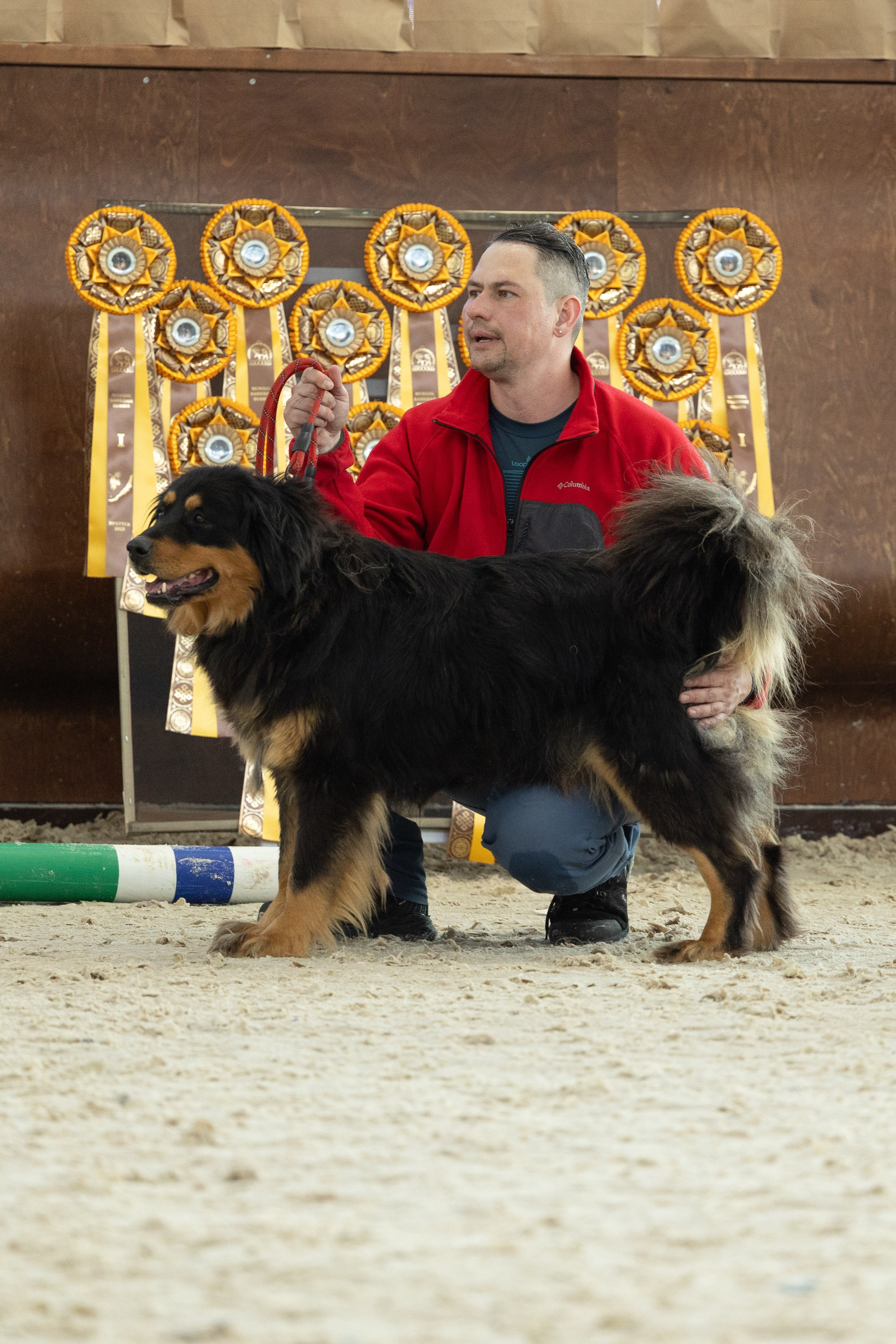 Моно Монгол Банхаров. Иркутск 2025. Фотограф-анималист|Иркутск