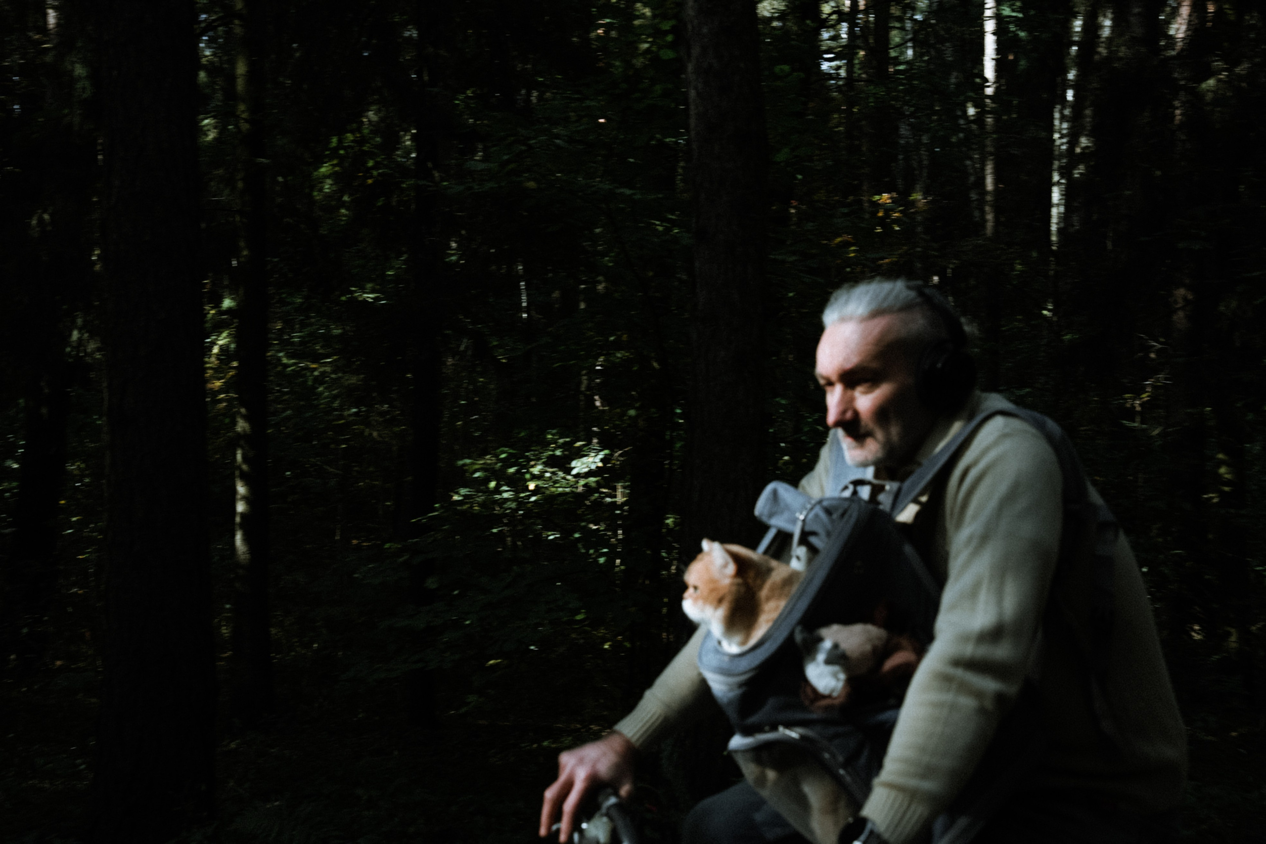 Осень 2025. Фотограф из Москвы — DASHA NOVA | Авторская фотография в разных жанрах