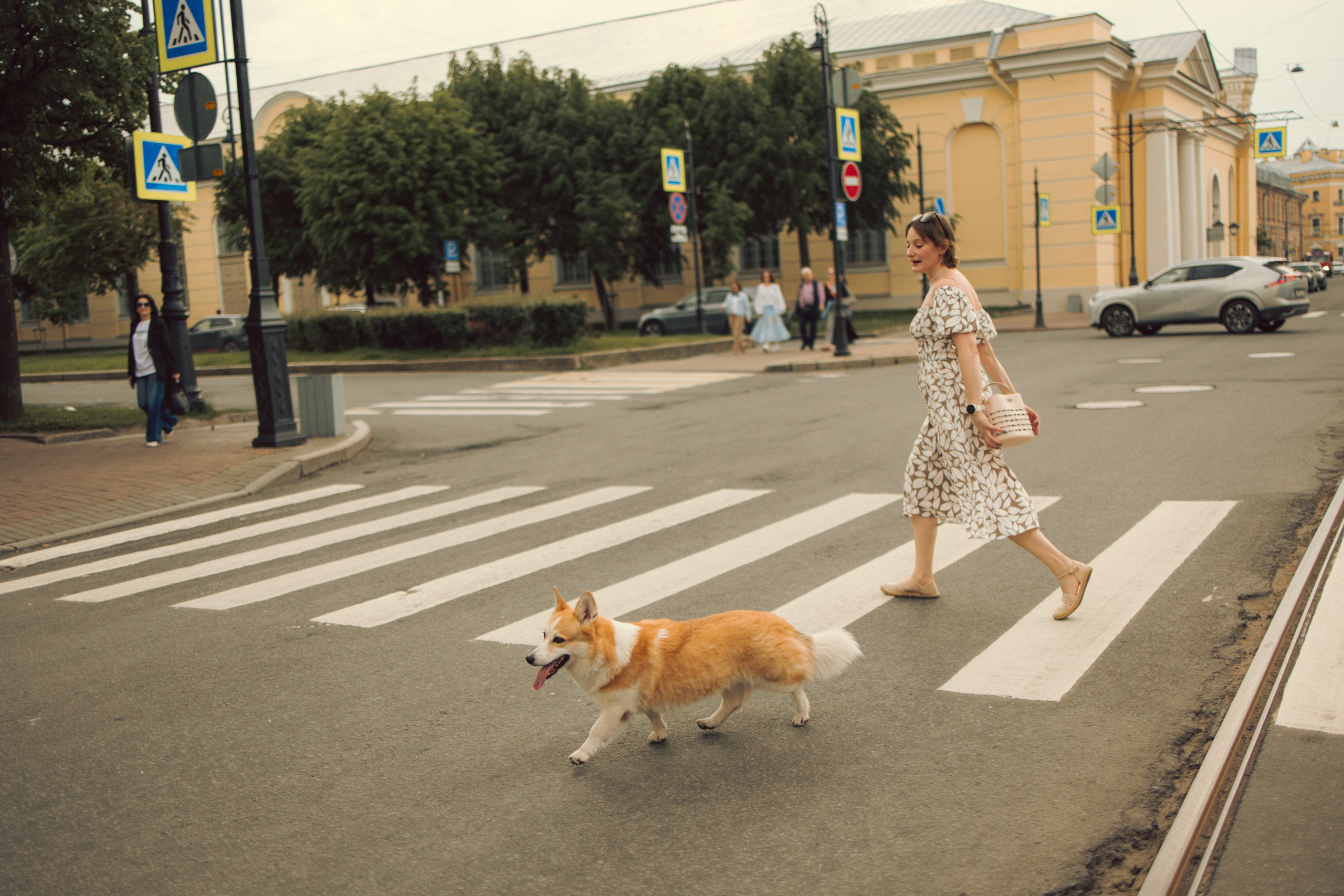 Центр, фонтан и любовь. Фотограф — Анималист | Санкт-Петербург