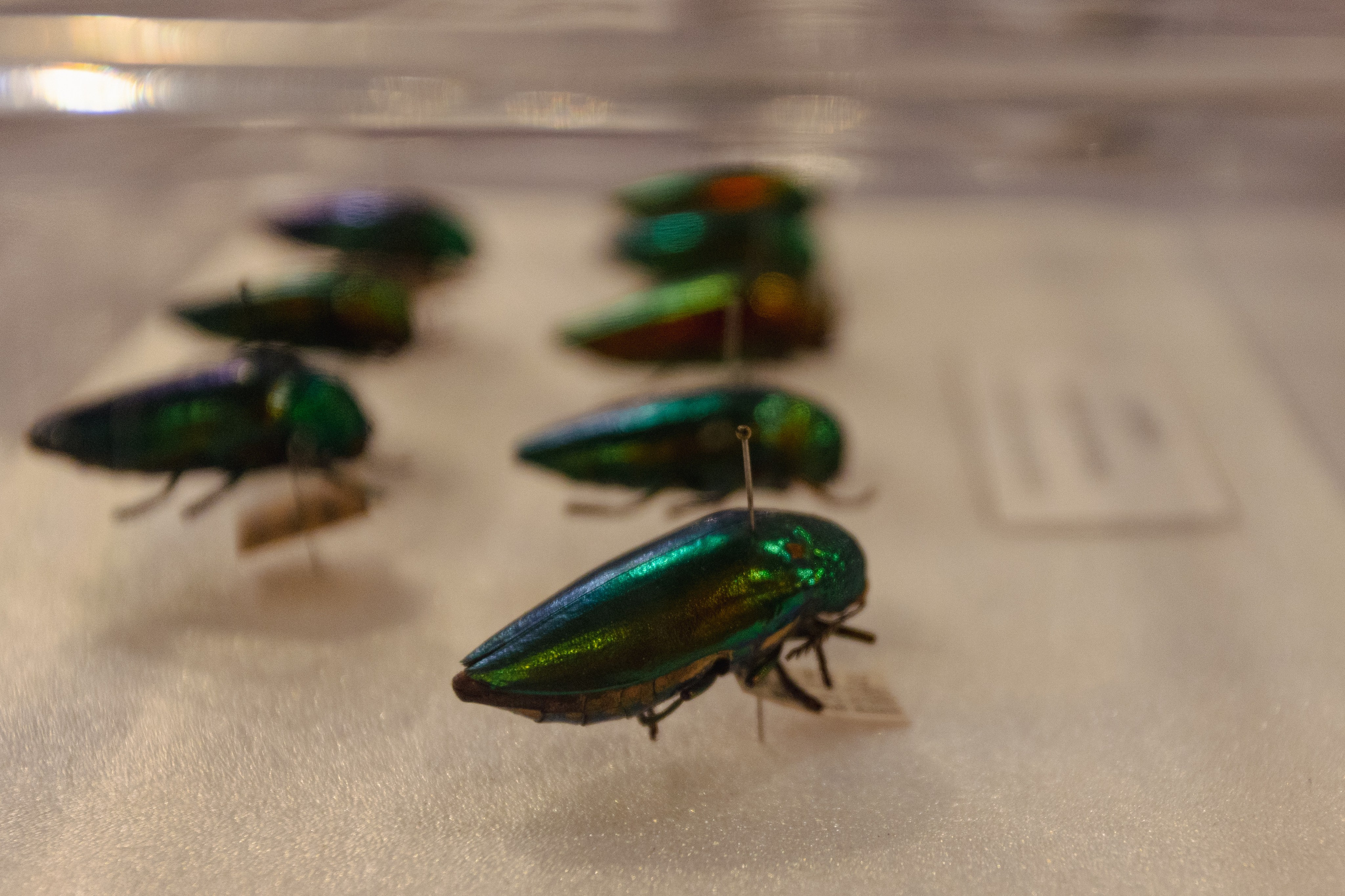Bangkok Planetarium. Photographer Sonkina Tatiana (Tanya Ash)