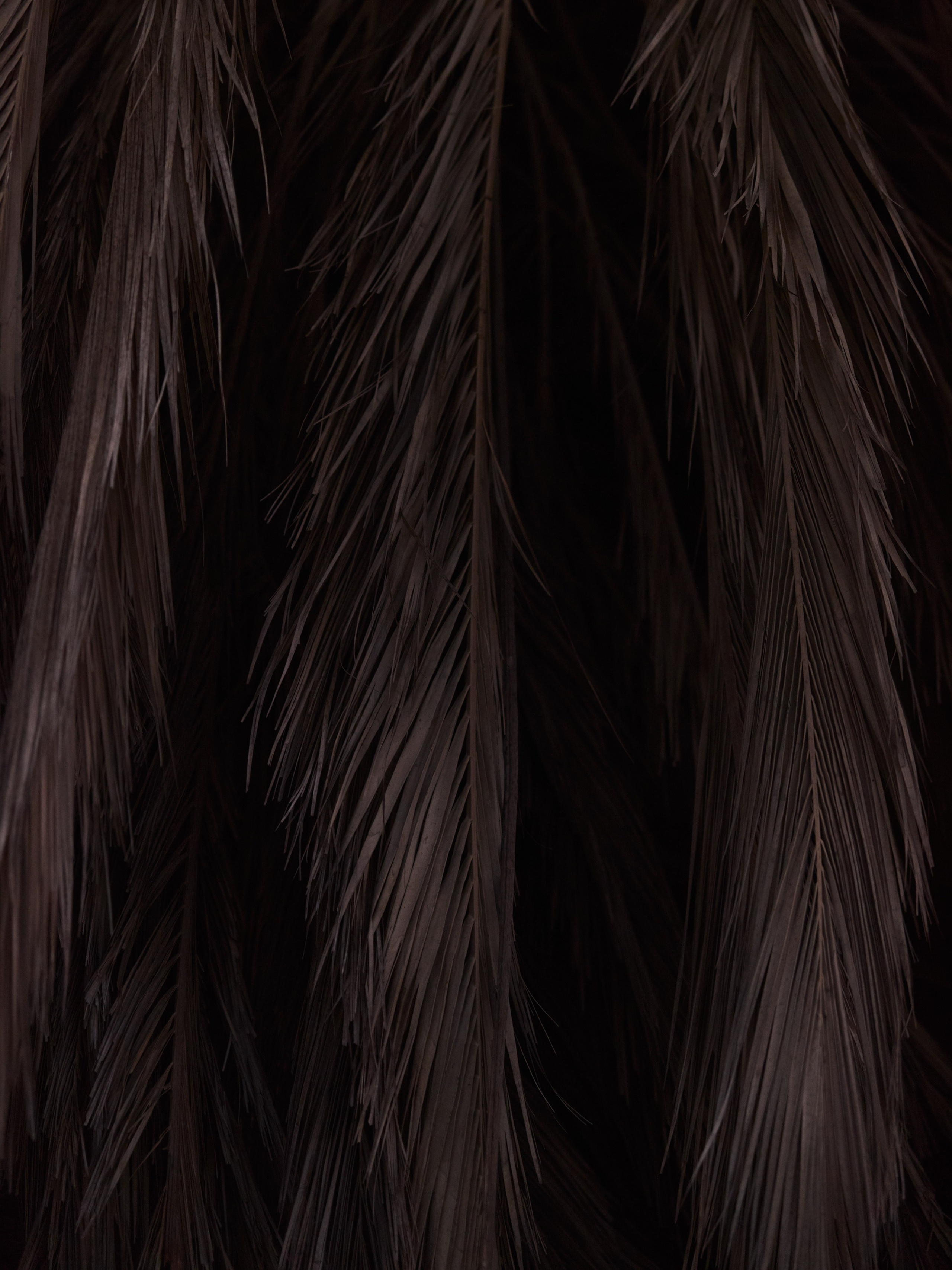 Диптих. Jorgis — фотограф в Хургаде / обучение фотографии