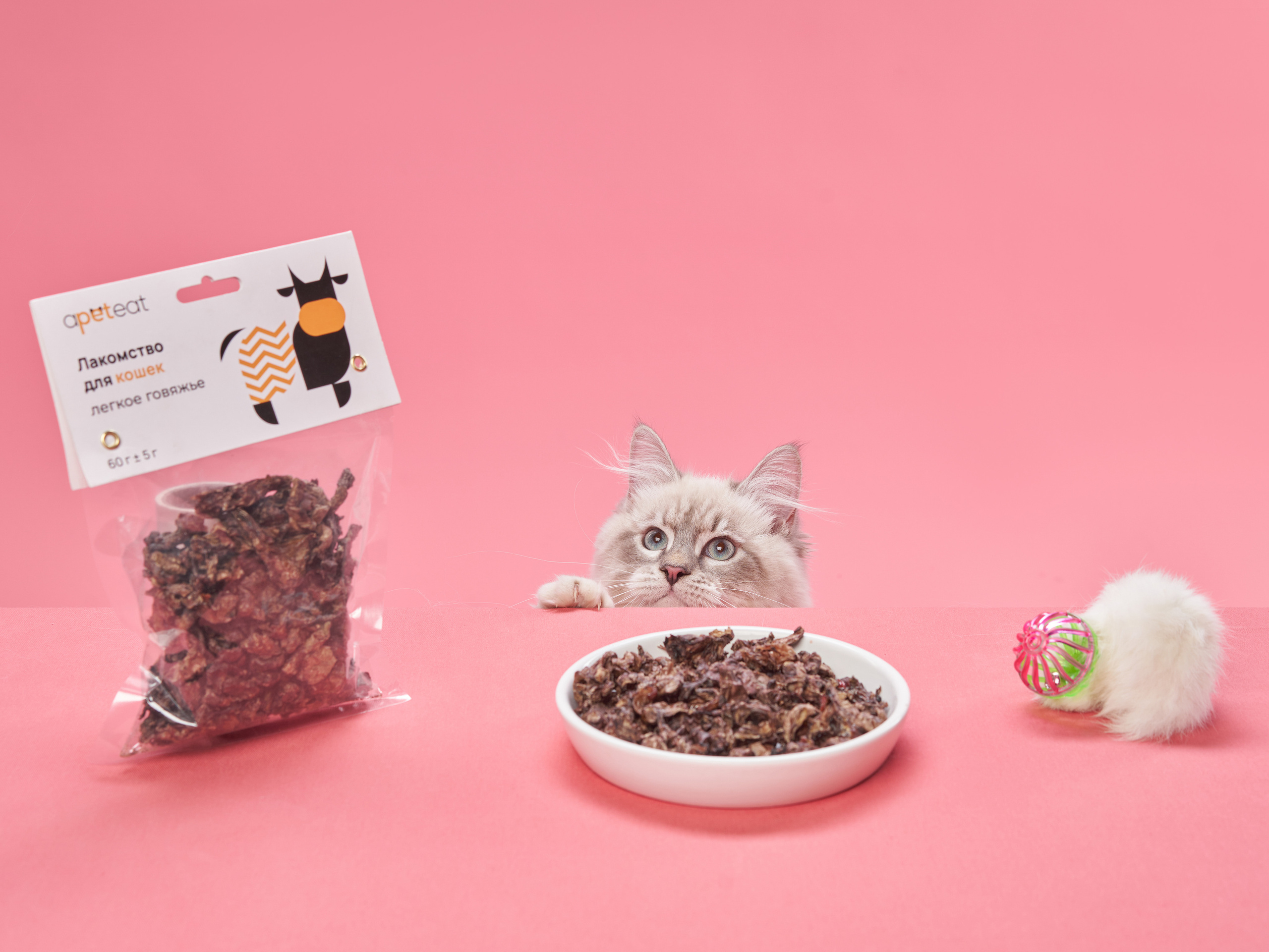 Advertising shooting with animals. Pets in advertising. Dog photographer Averianova Anna — Art photography of dogs