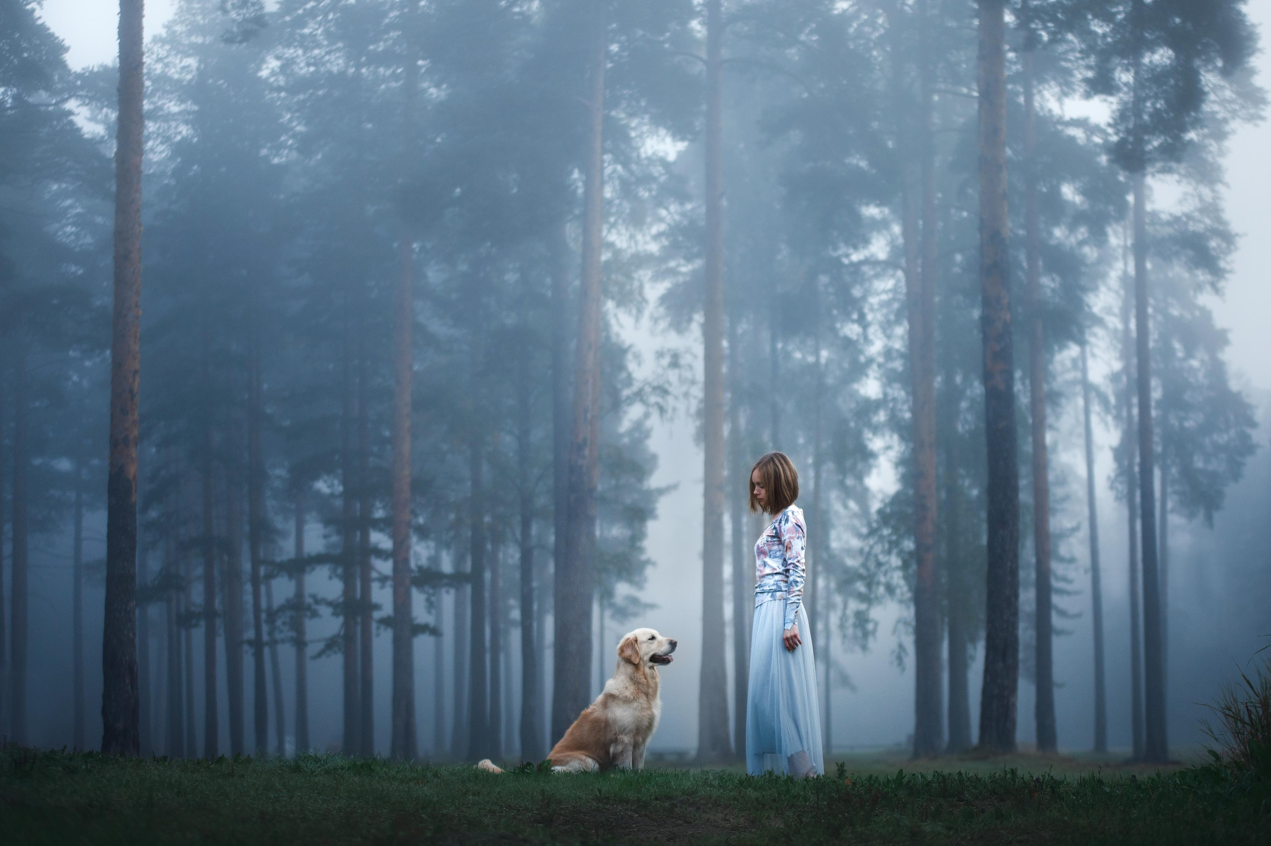 Photo of dogs in nature. landscape with dog. Dog photographer Averianova Anna — Art photography of dogs