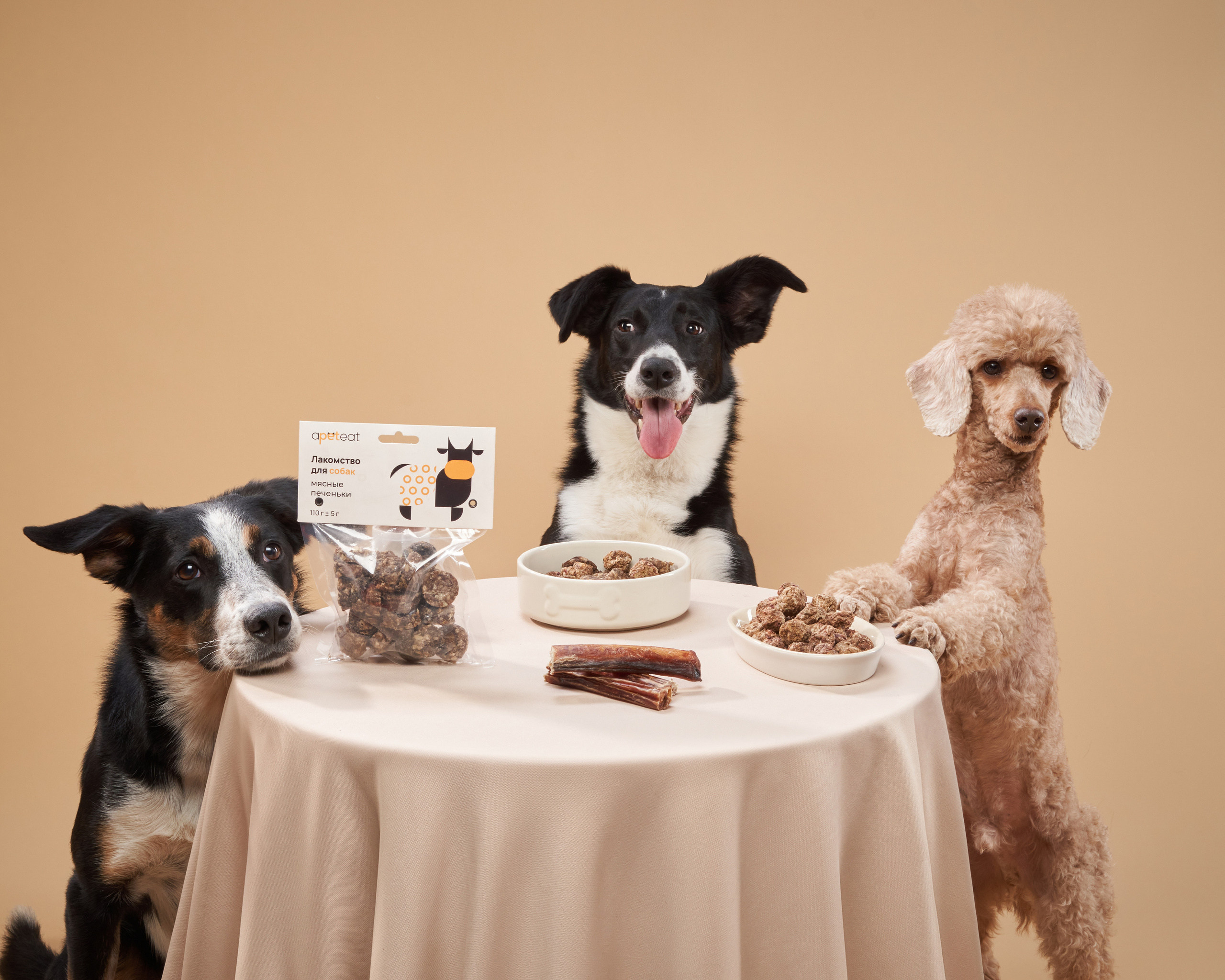 Advertising shooting with animals. Pets in advertising. Dog photographer Averianova Anna — Art photography of dogs