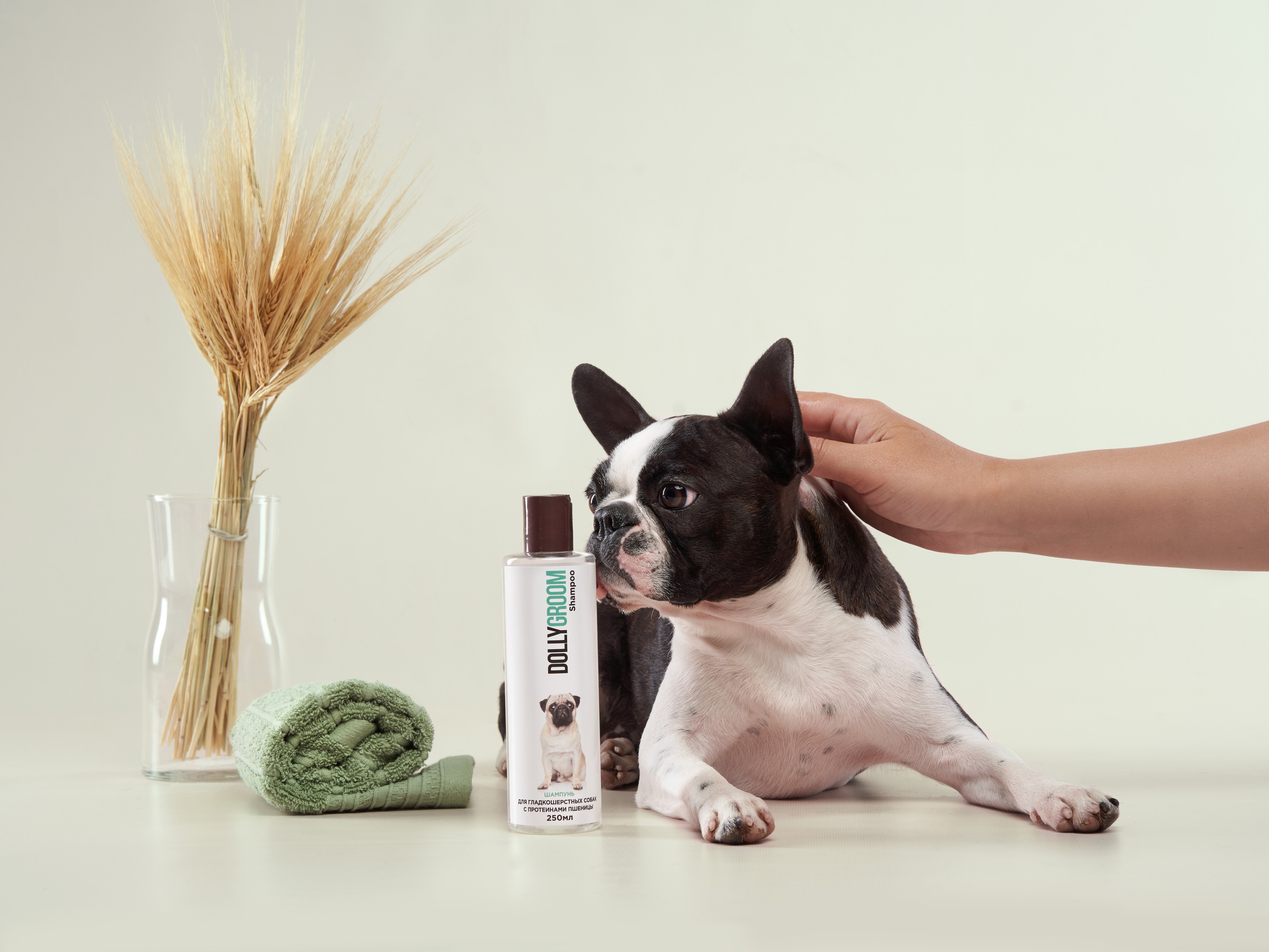 Advertising shooting with animals. Pets in advertising. Dog photographer Averianova Anna — Art photography of dogs