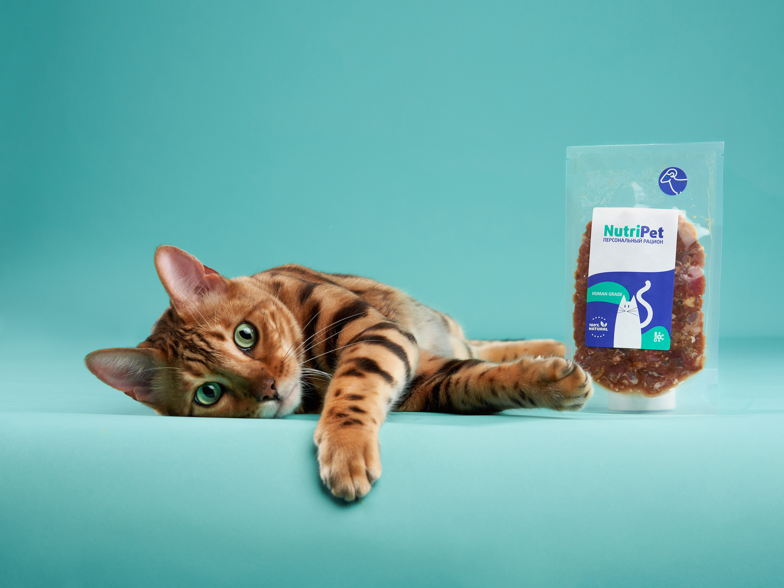 Advertising shooting with animals. Pets in advertising. Dog photographer Averianova Anna — Art photography of dogs