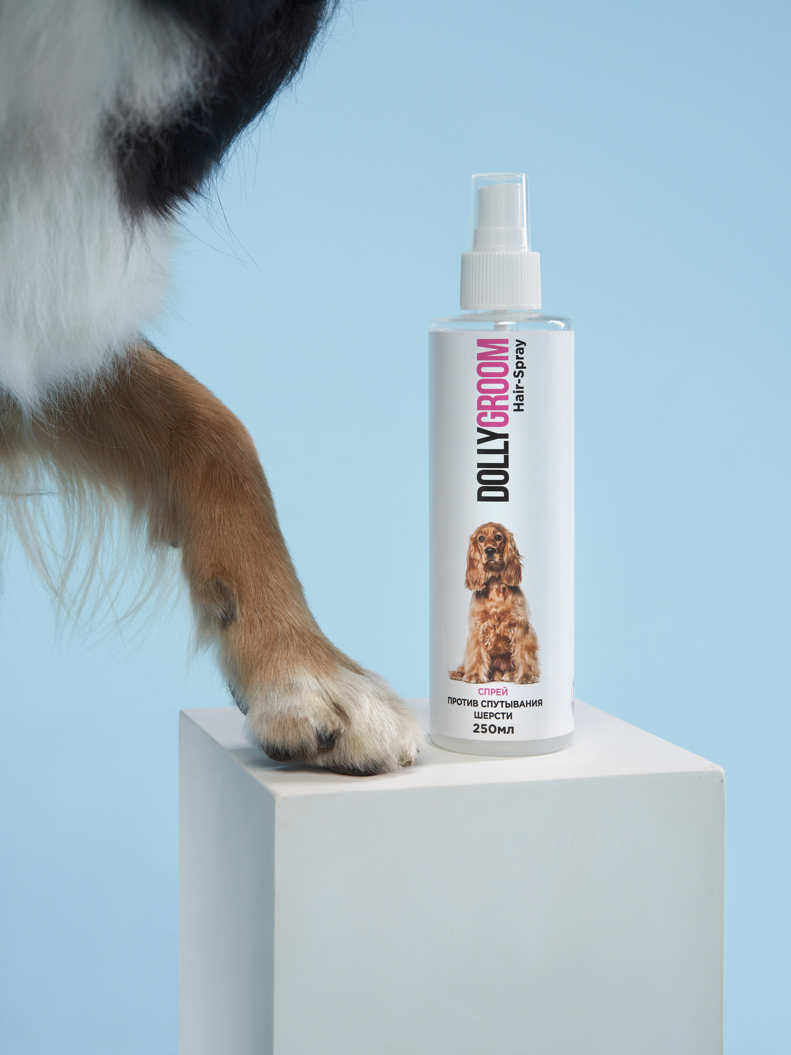 Advertising shooting with animals. Pets in advertising. Dog photographer Averianova Anna — Art photography of dogs