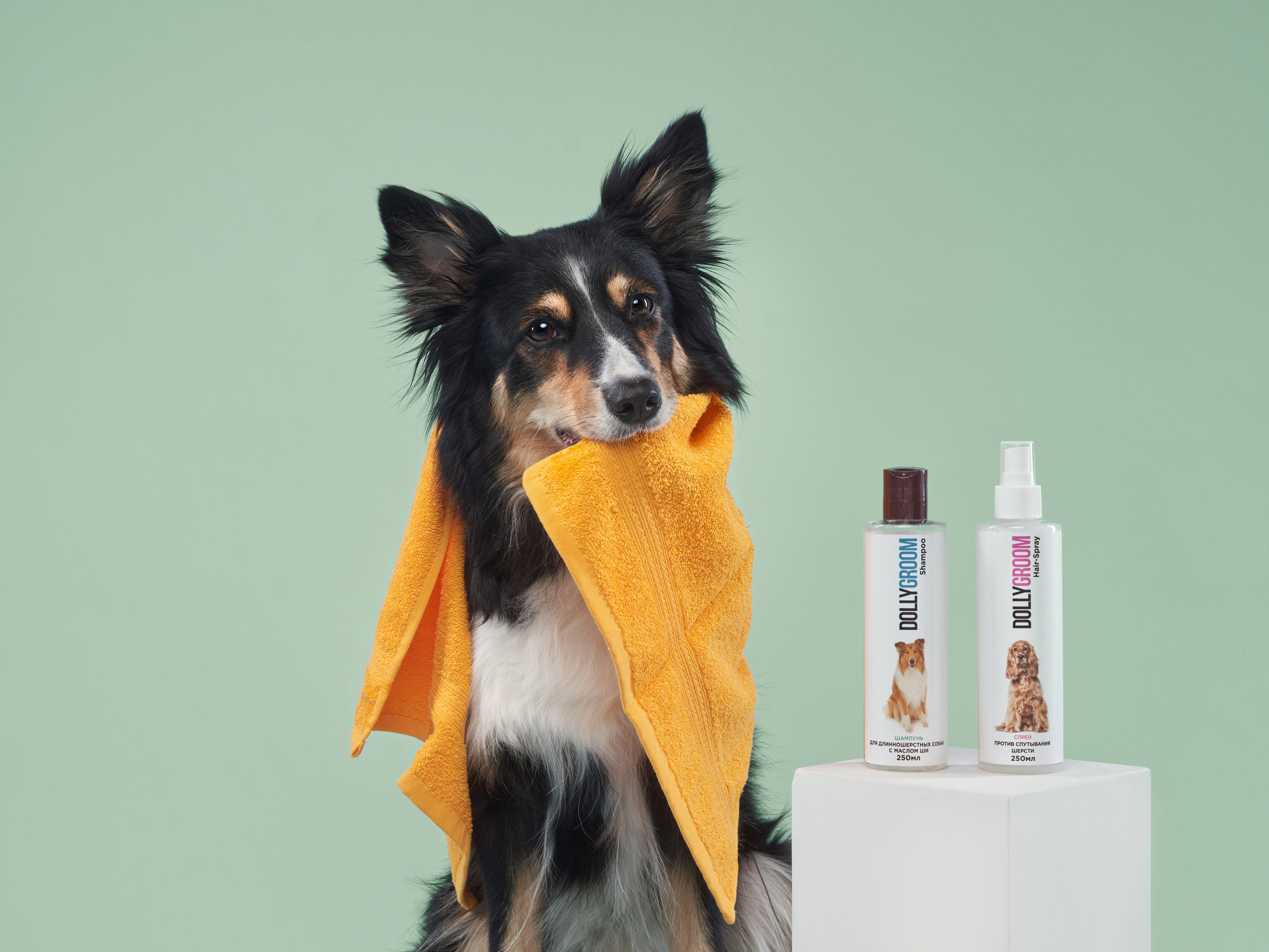 Advertising shooting with animals. Pets in advertising. Dog photographer Averianova Anna — Art photography of dogs