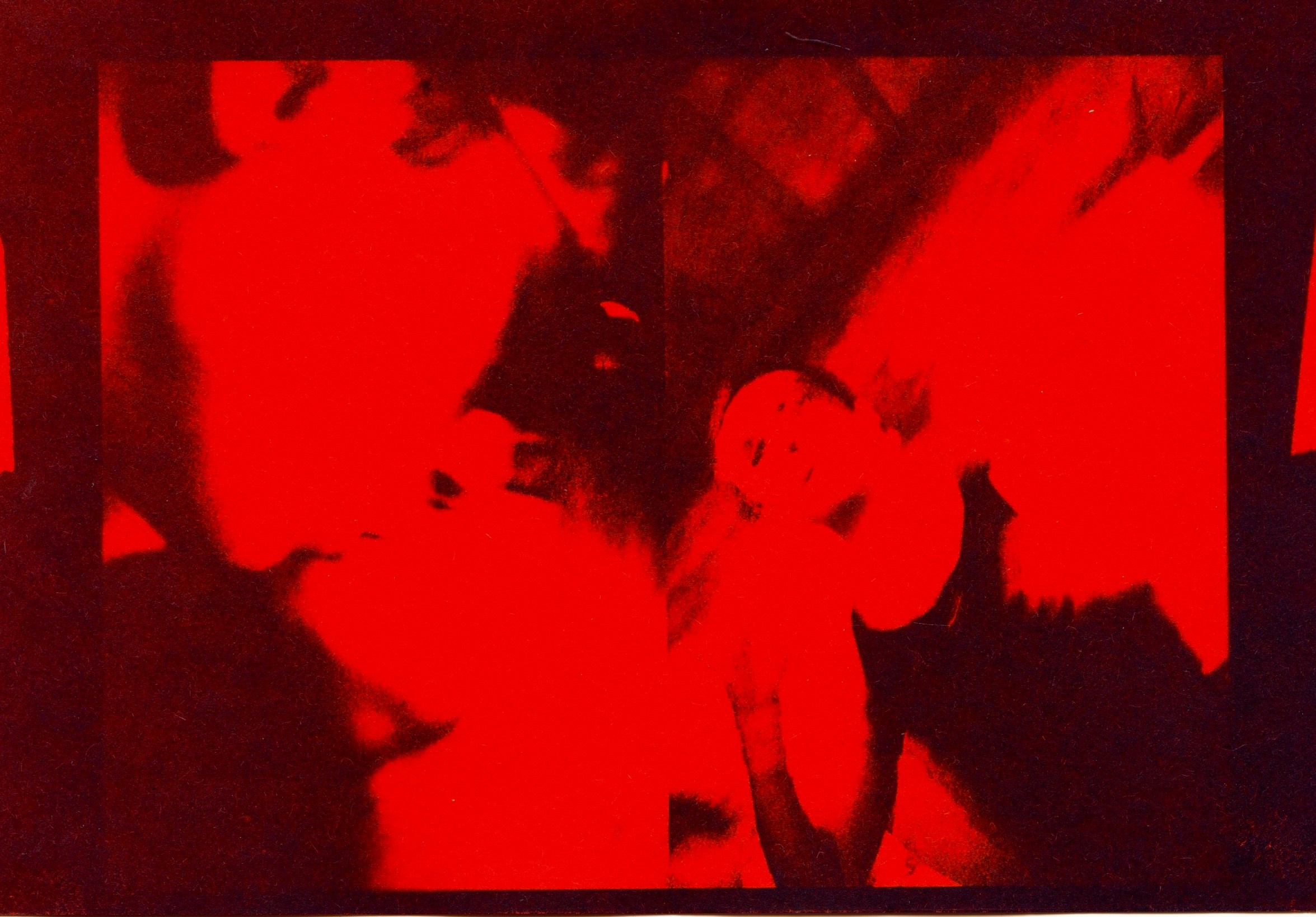 Липкий пол [книга]. Аня белка — художница и фотограф