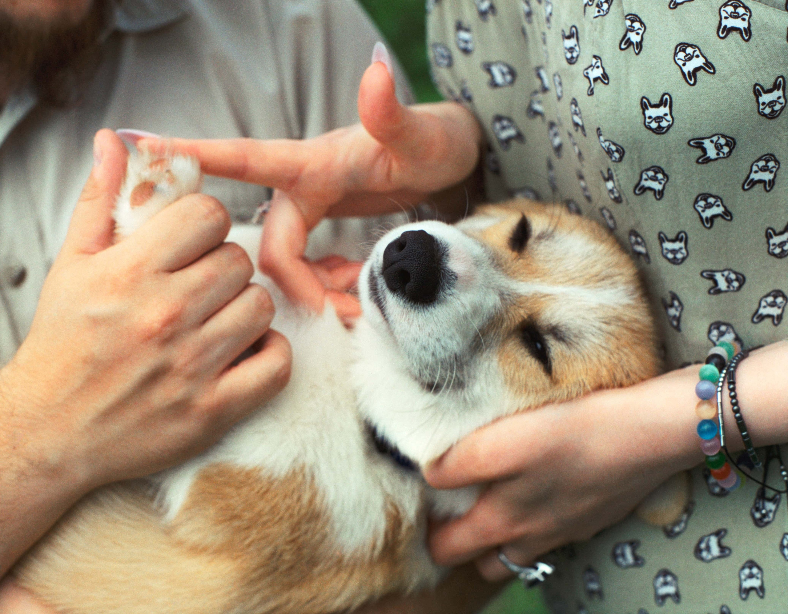 E&V&G. Stylist and film photographer Anastasia Shlokova